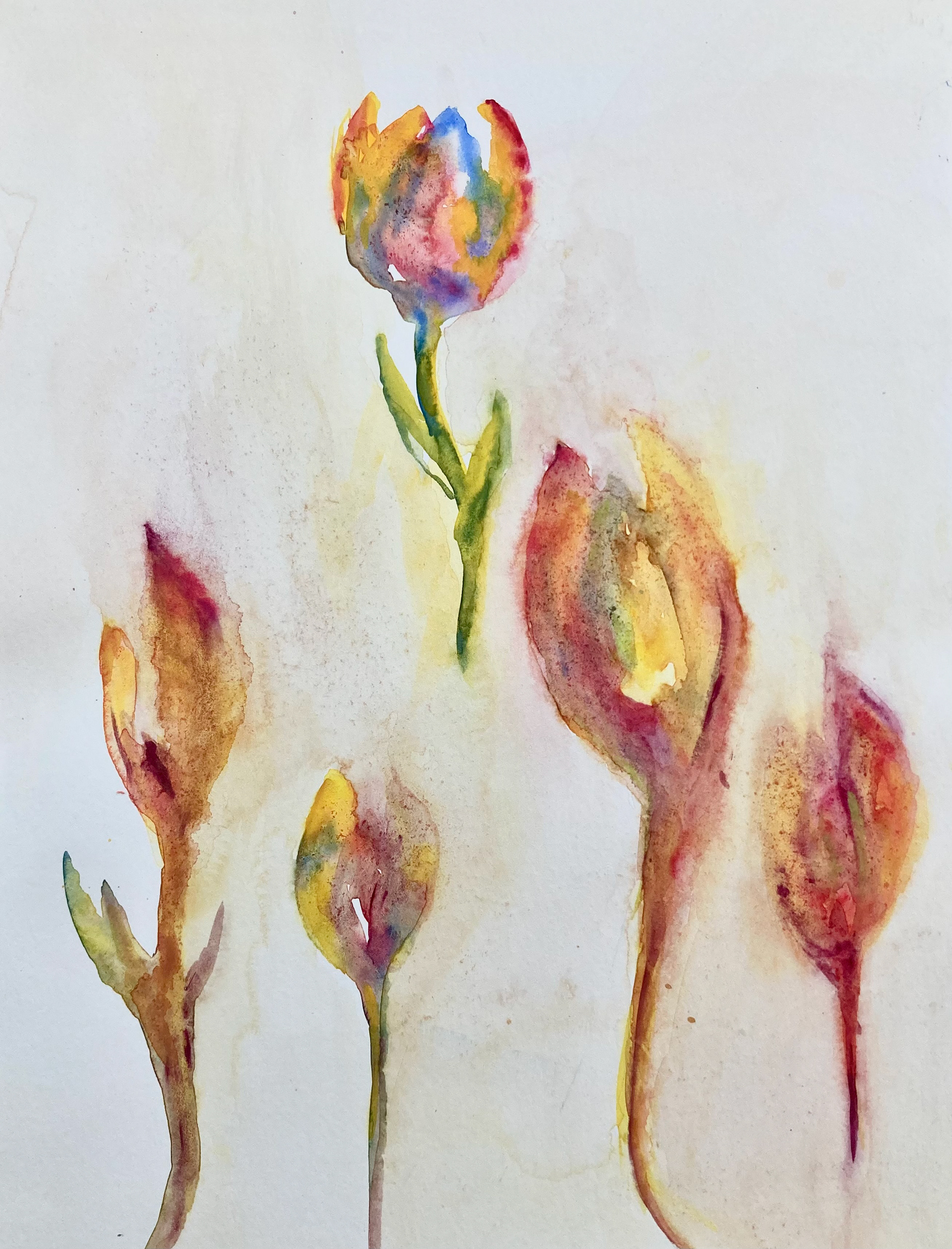 Paper Flowers