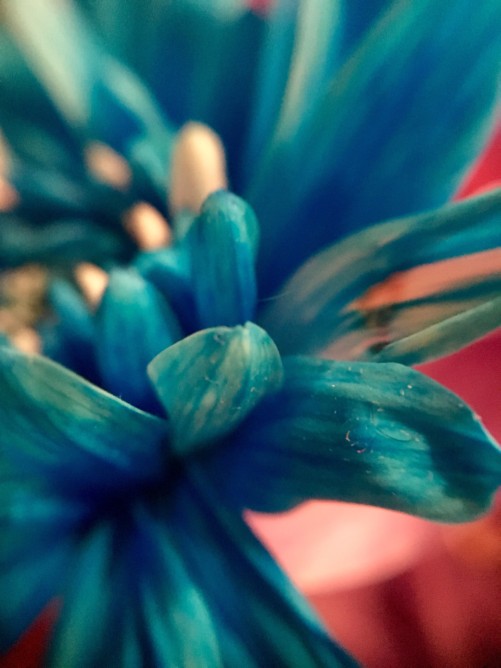 Flower Pedals