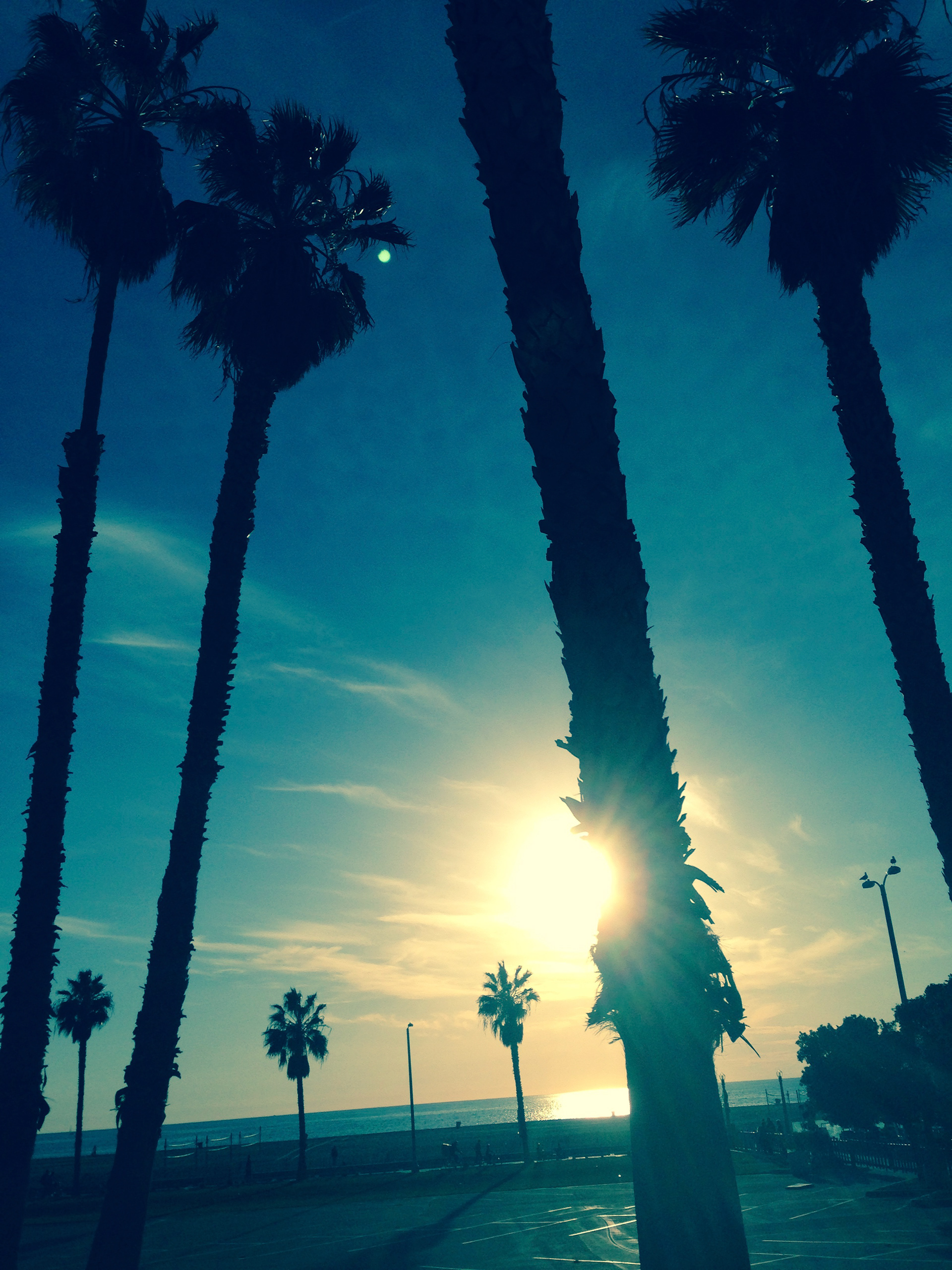 Santa Monica Beach