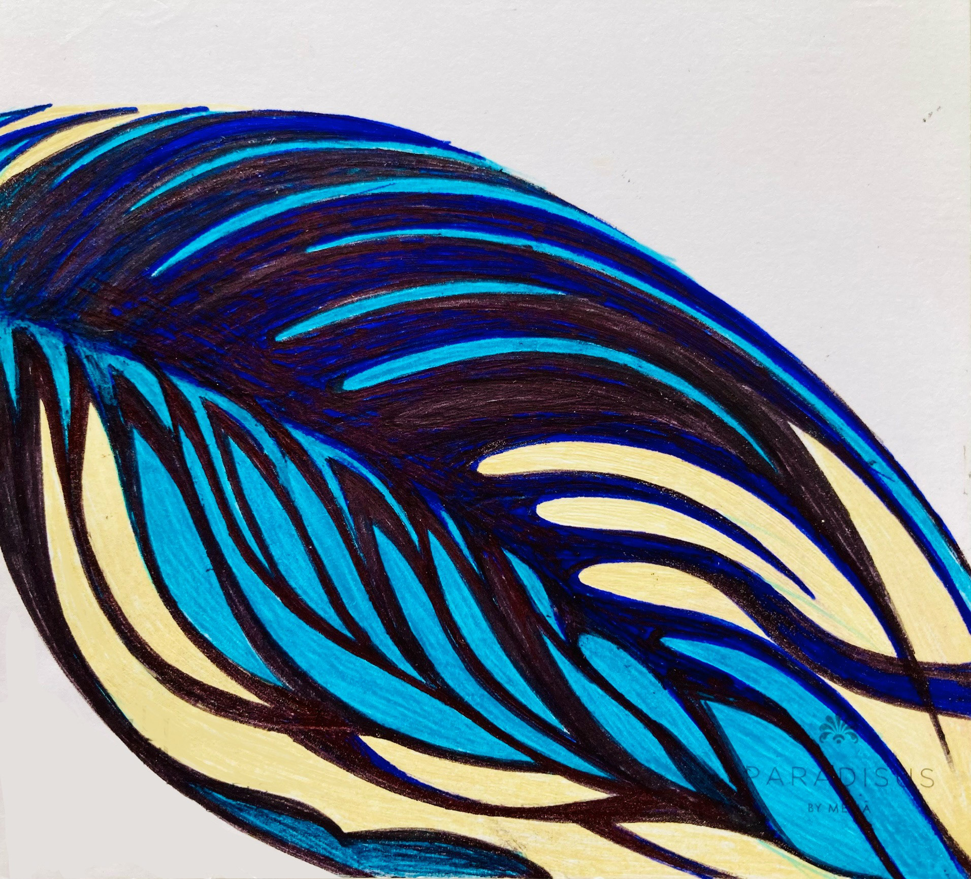 Leaf Bound - pen on paper