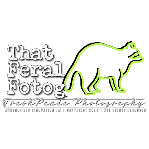 That Feral Fotog