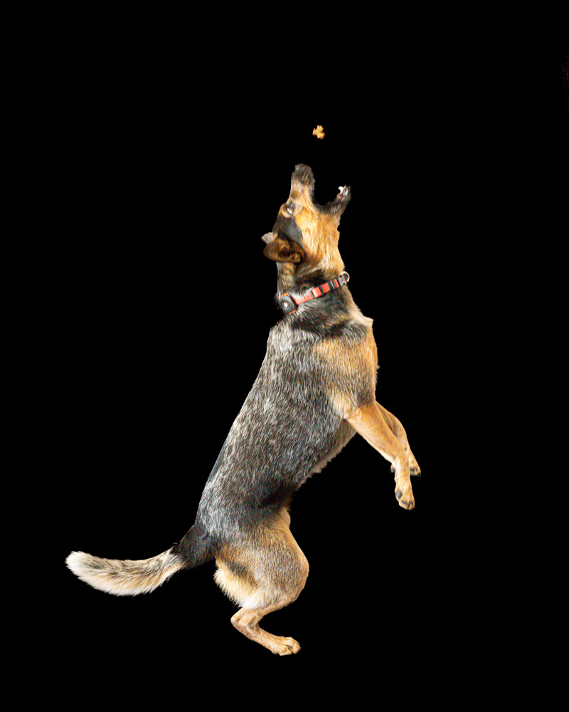 Layla Jumping