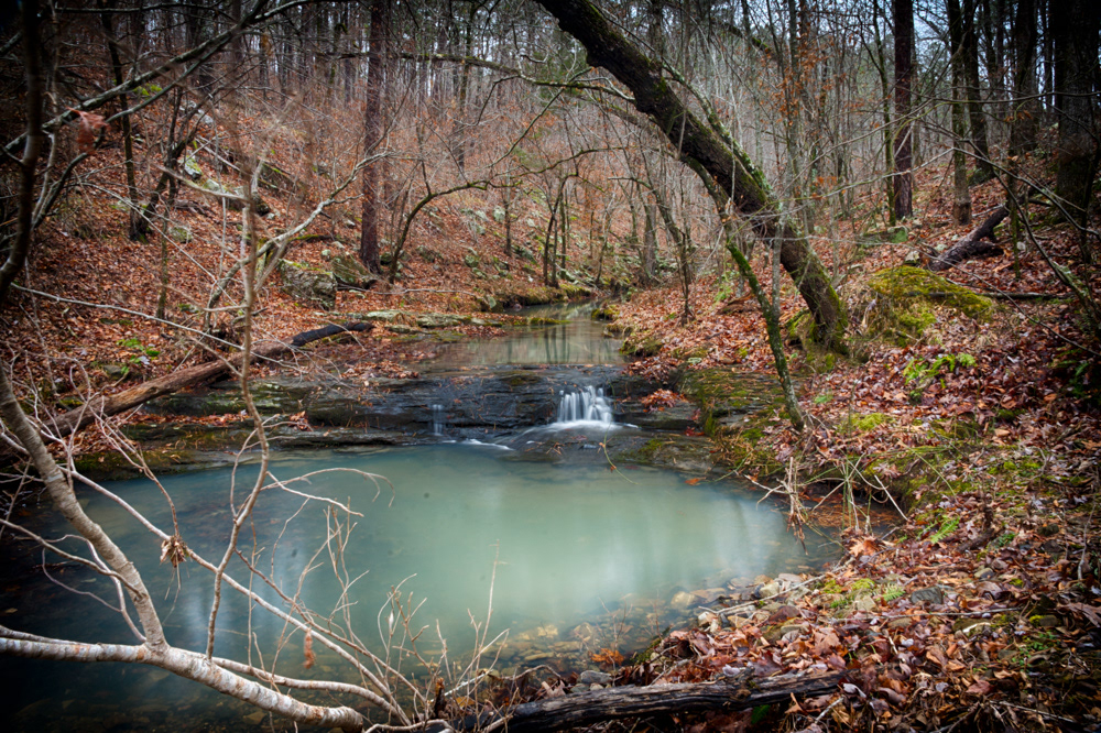 Ouachita National Forest