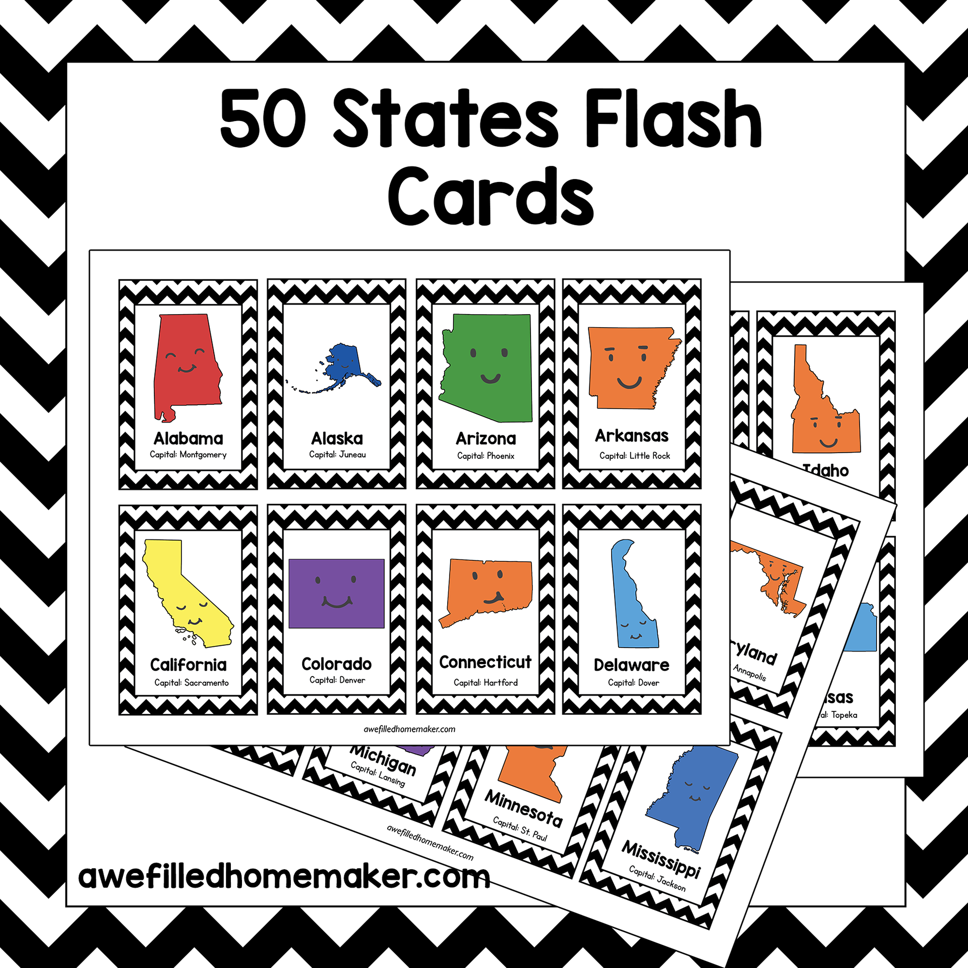 Richele design and branding services 50 States Flash Cards