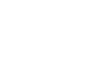 Matt Vsd