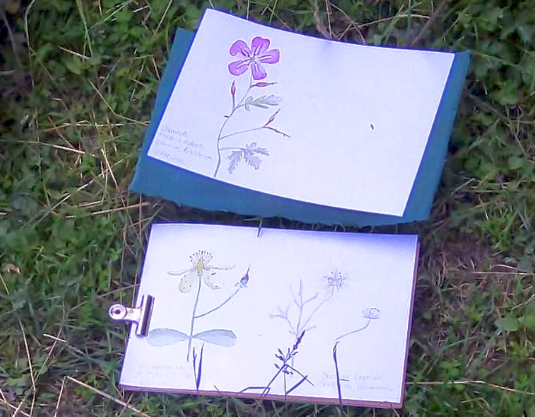 Réalisation des participants