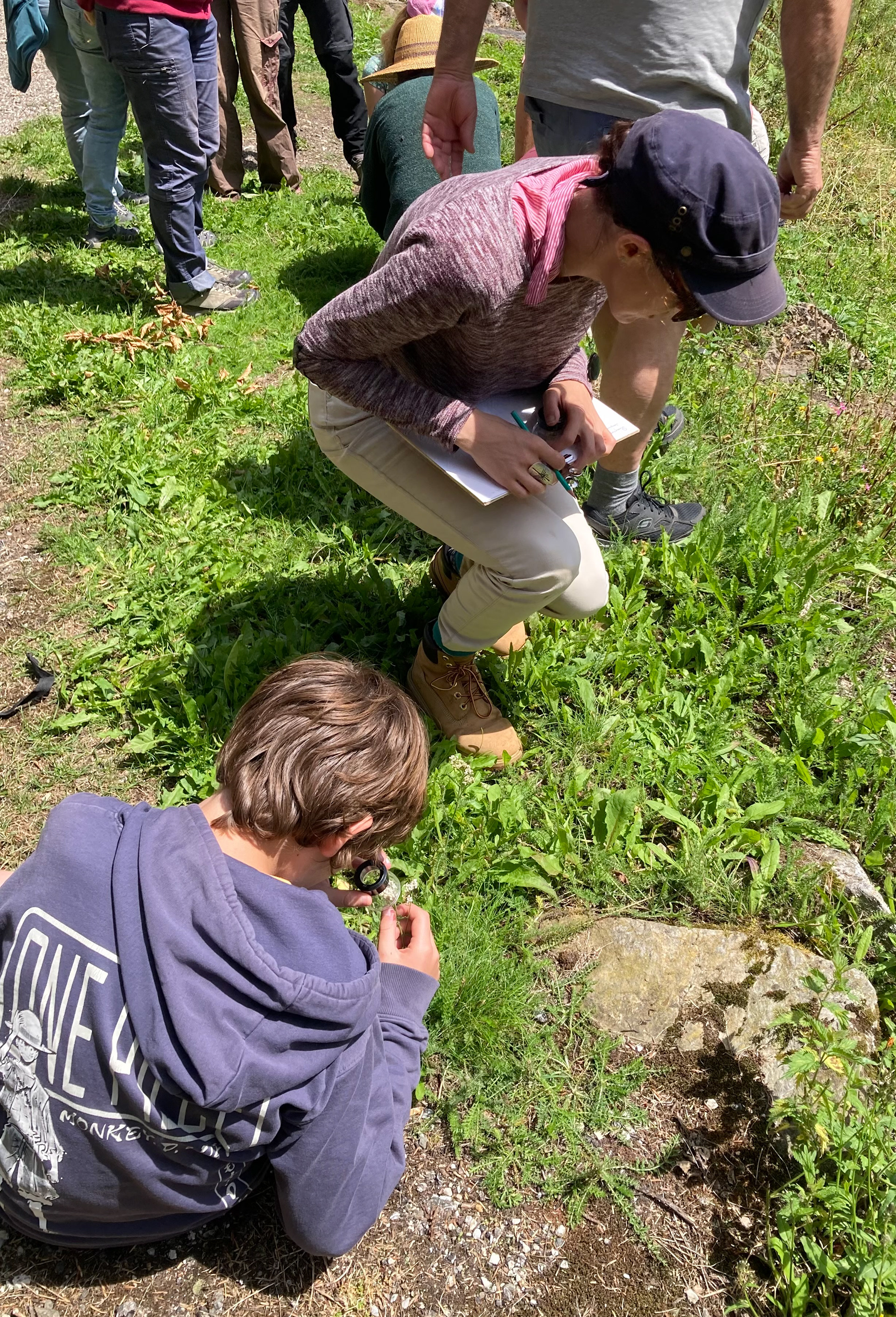 Observation de la flore