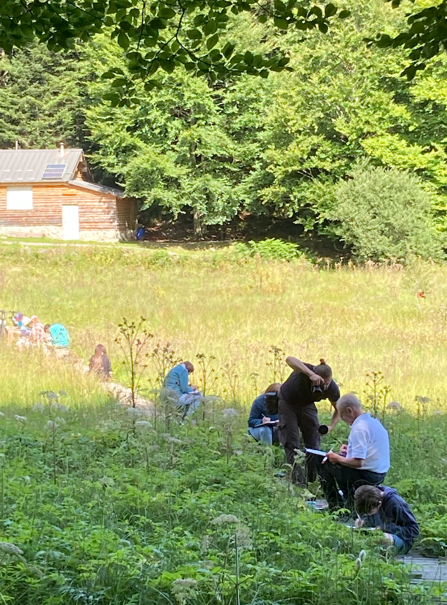 Aquarellistes en herbes le long de la zone humide de Mouzoune en compagnie d'Aurélien photographe