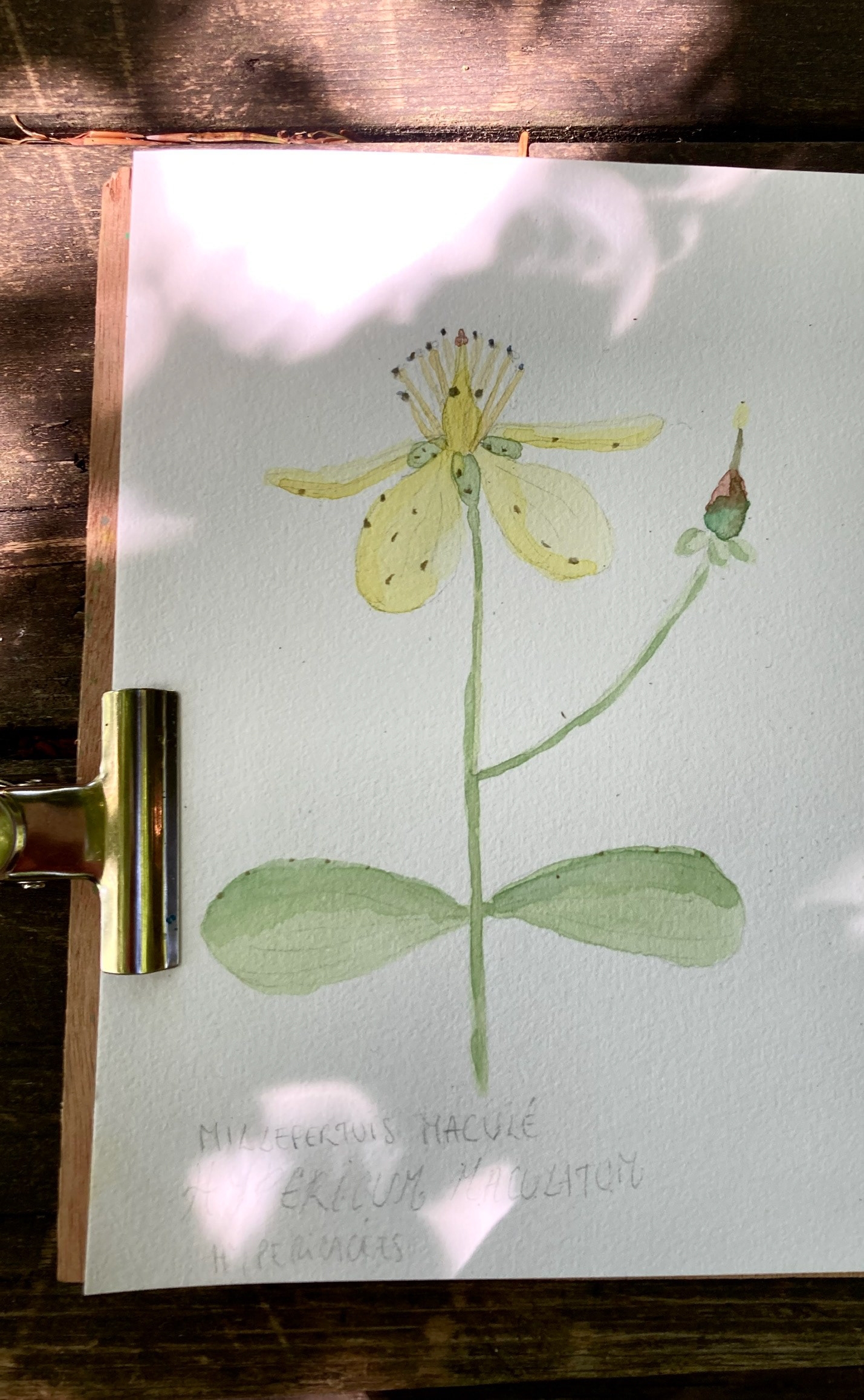 Réalisation des participants