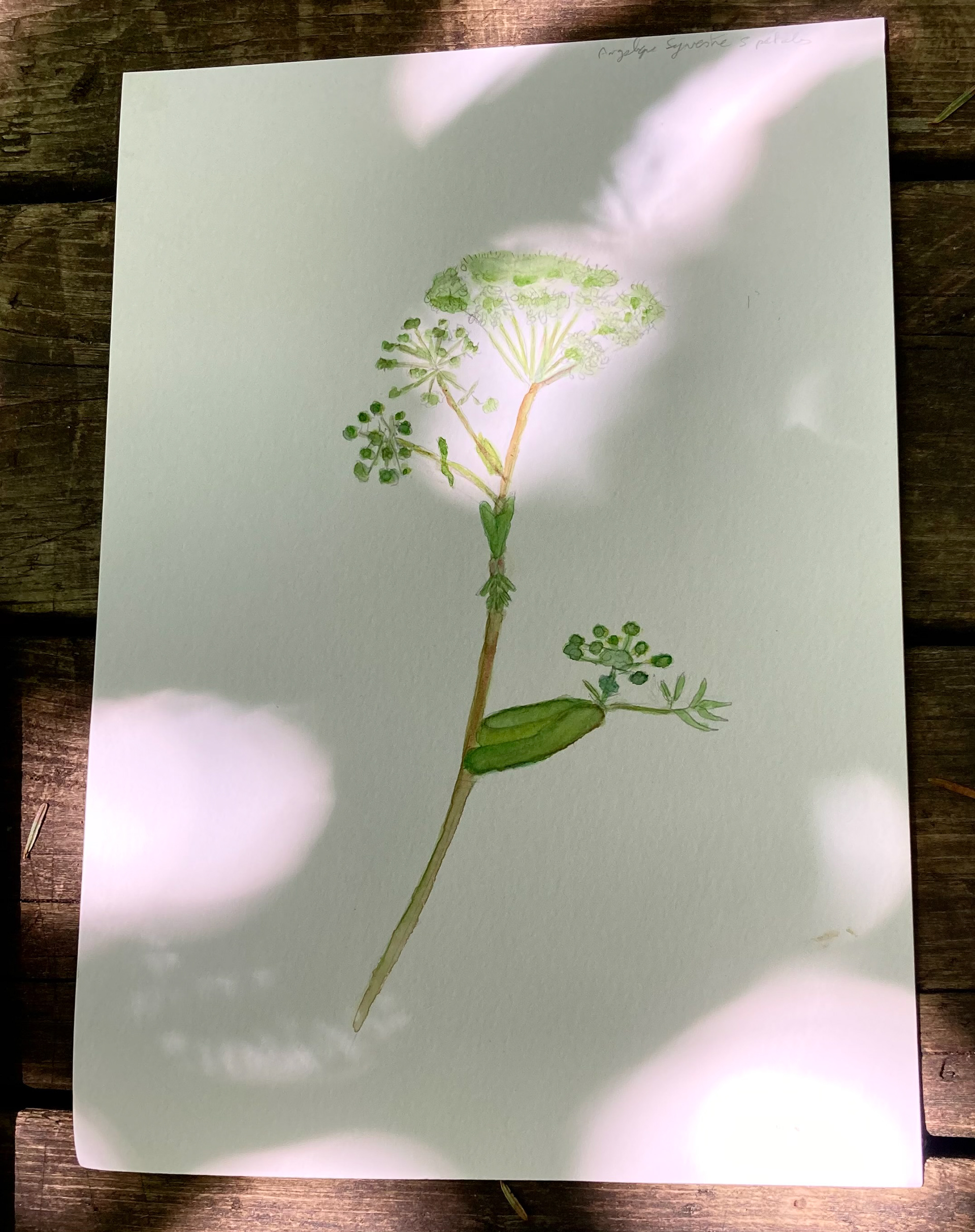 Réalisation des participants