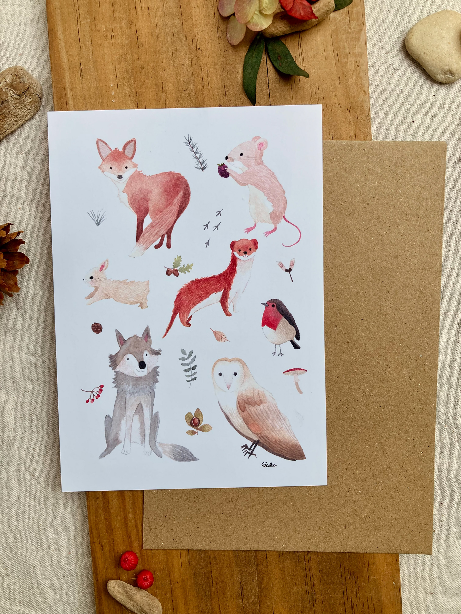 Carte postale animaux de la forêt