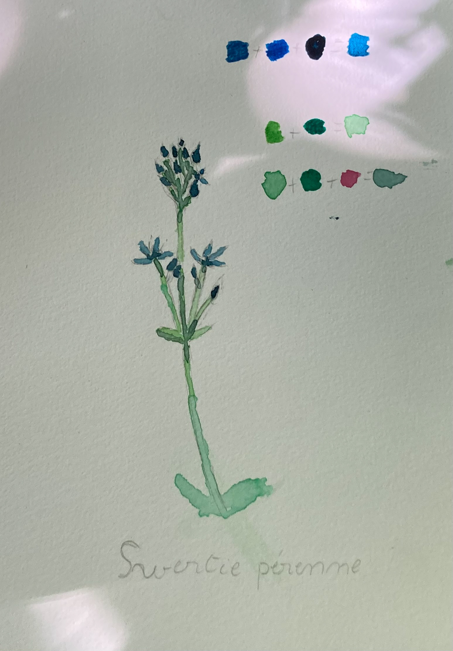 Réalisation des participants