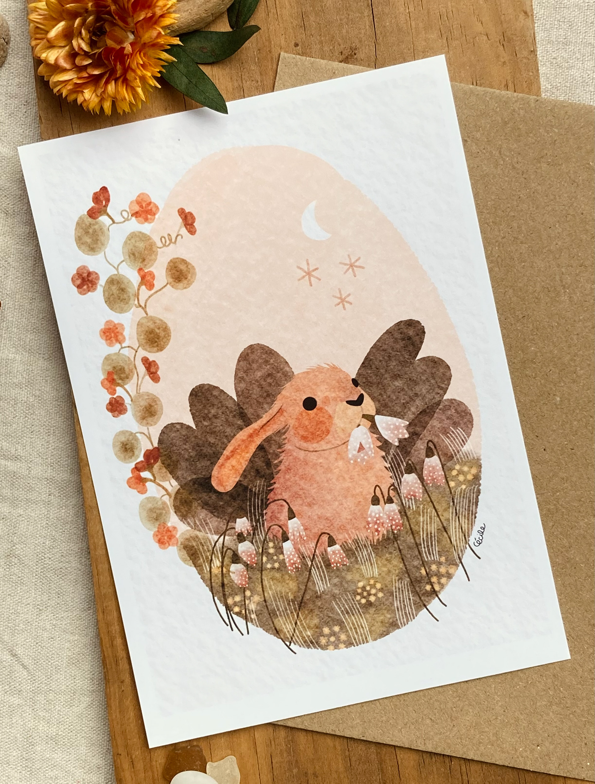 Carte postale lapin
