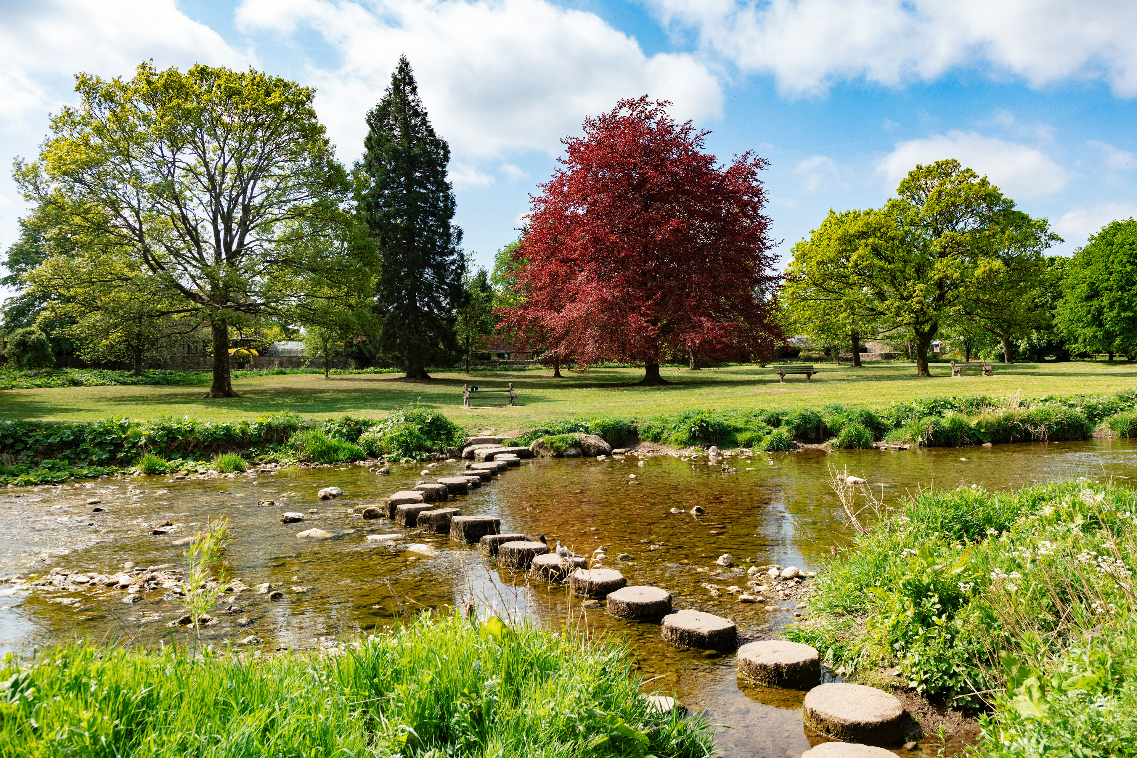 River aire, Gargrave - 9552