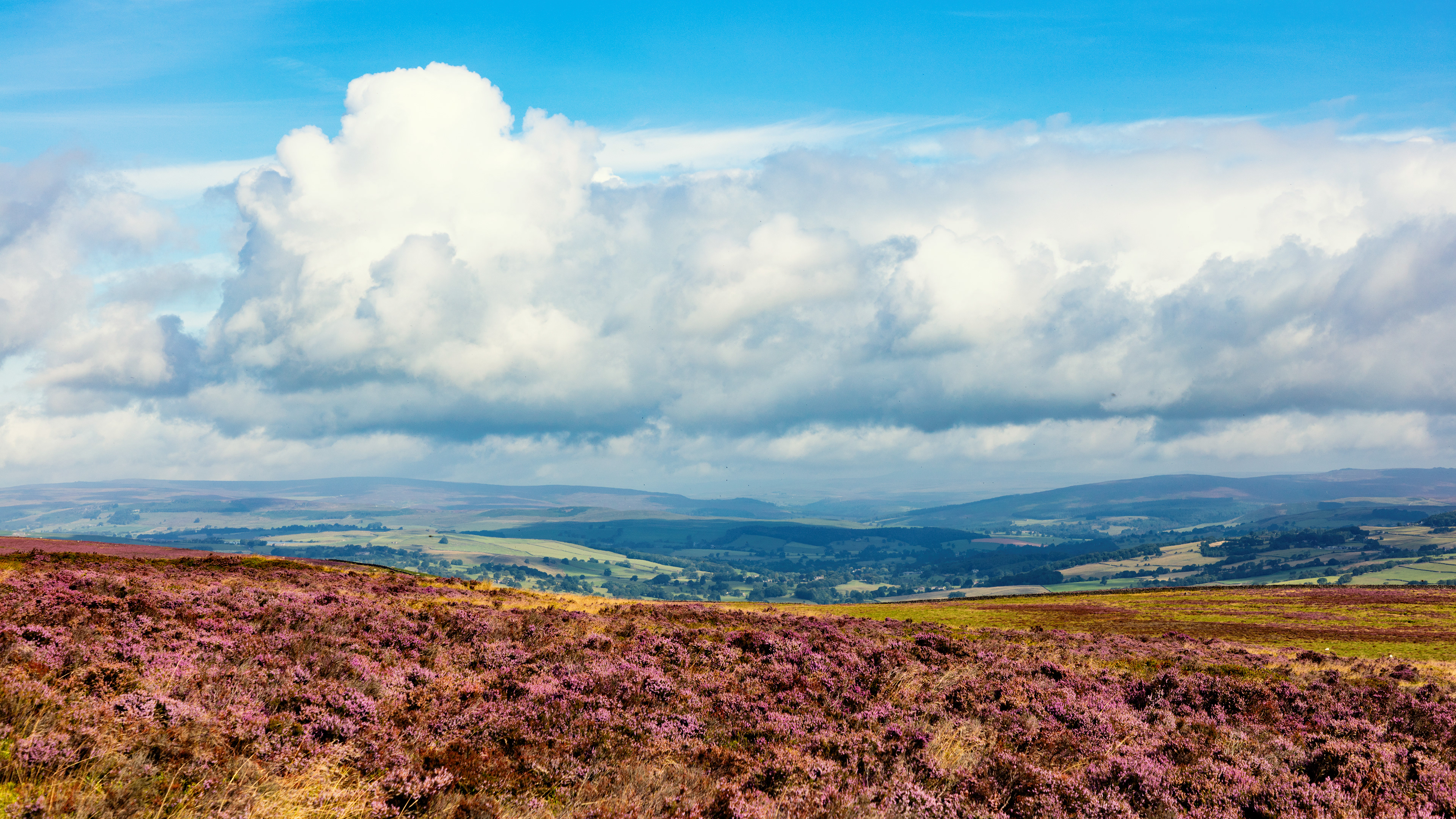 Ilkley Moor - 1279