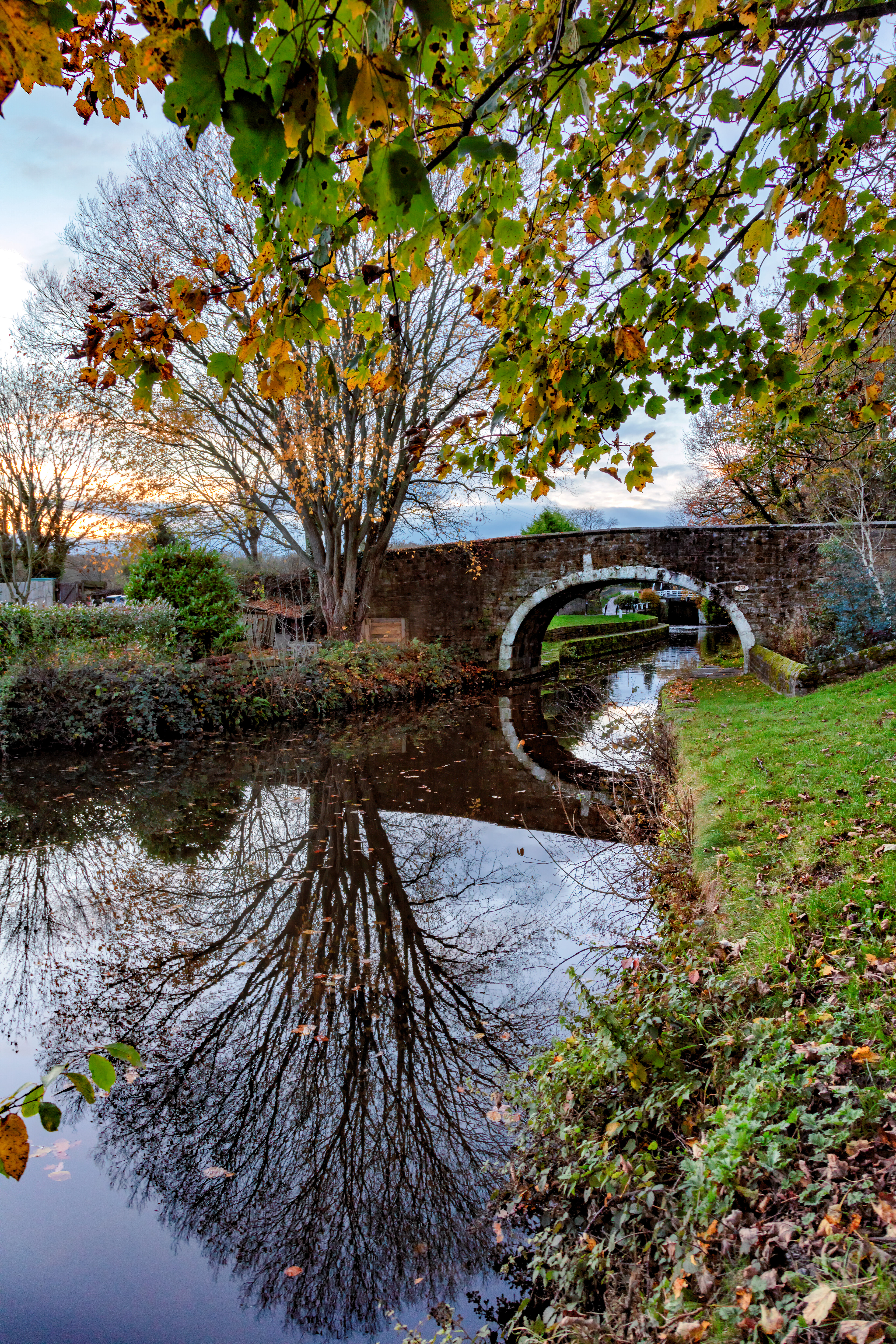 Leeds & Liverpool canal - Dowley Gap portrait
