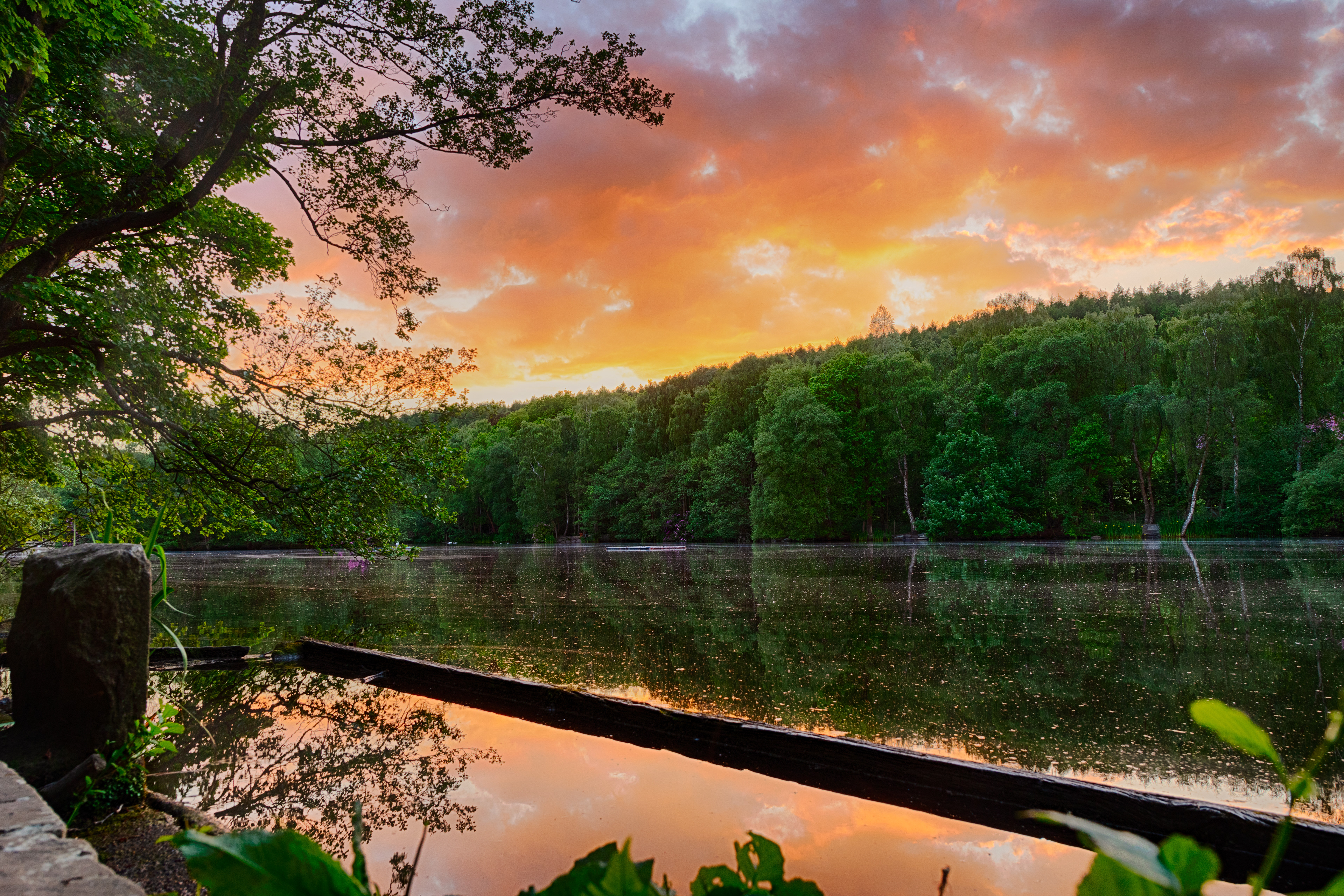 St Ives Estate - Coppice Pond sunset