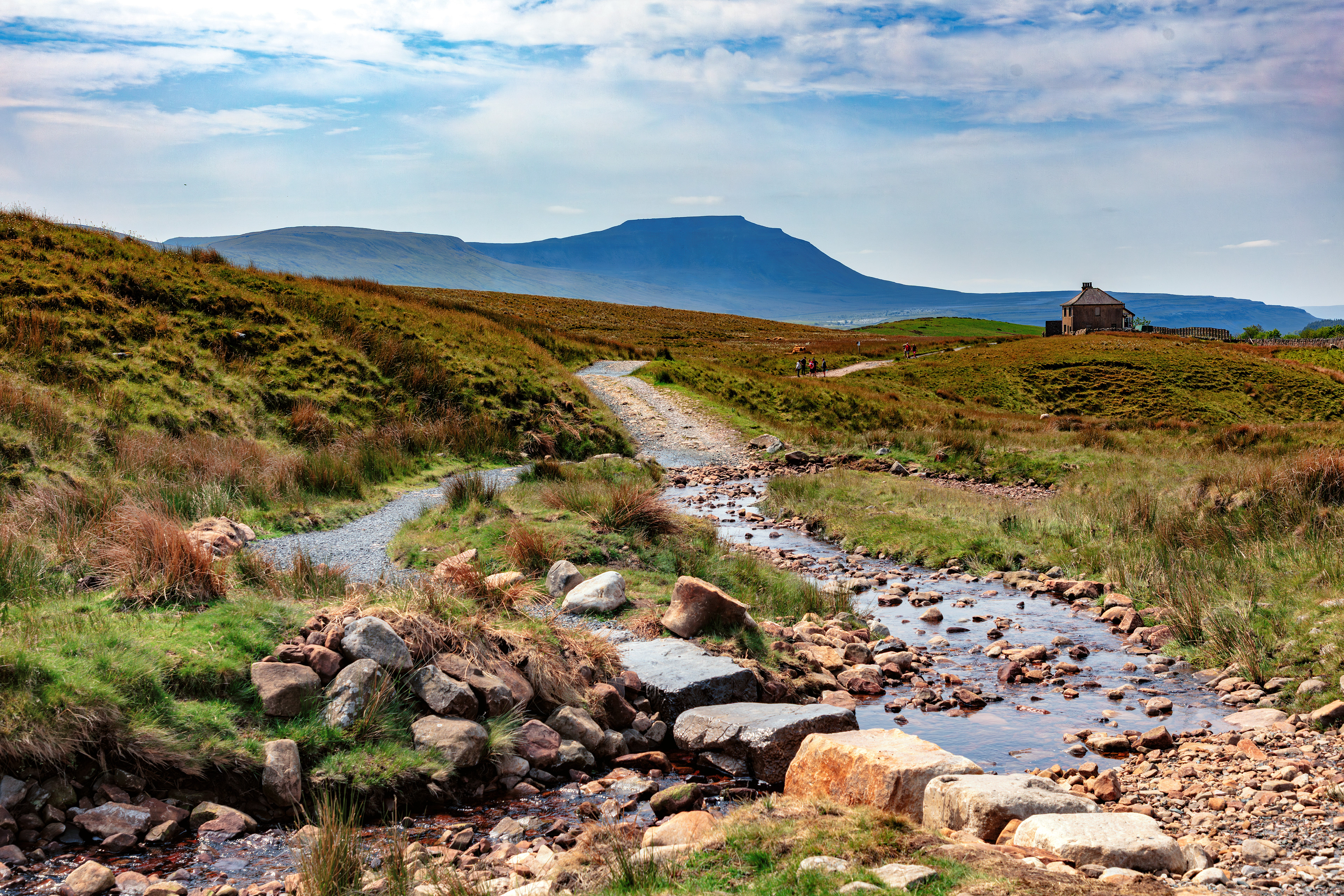 Dales Highway and Ingleborough - 8032