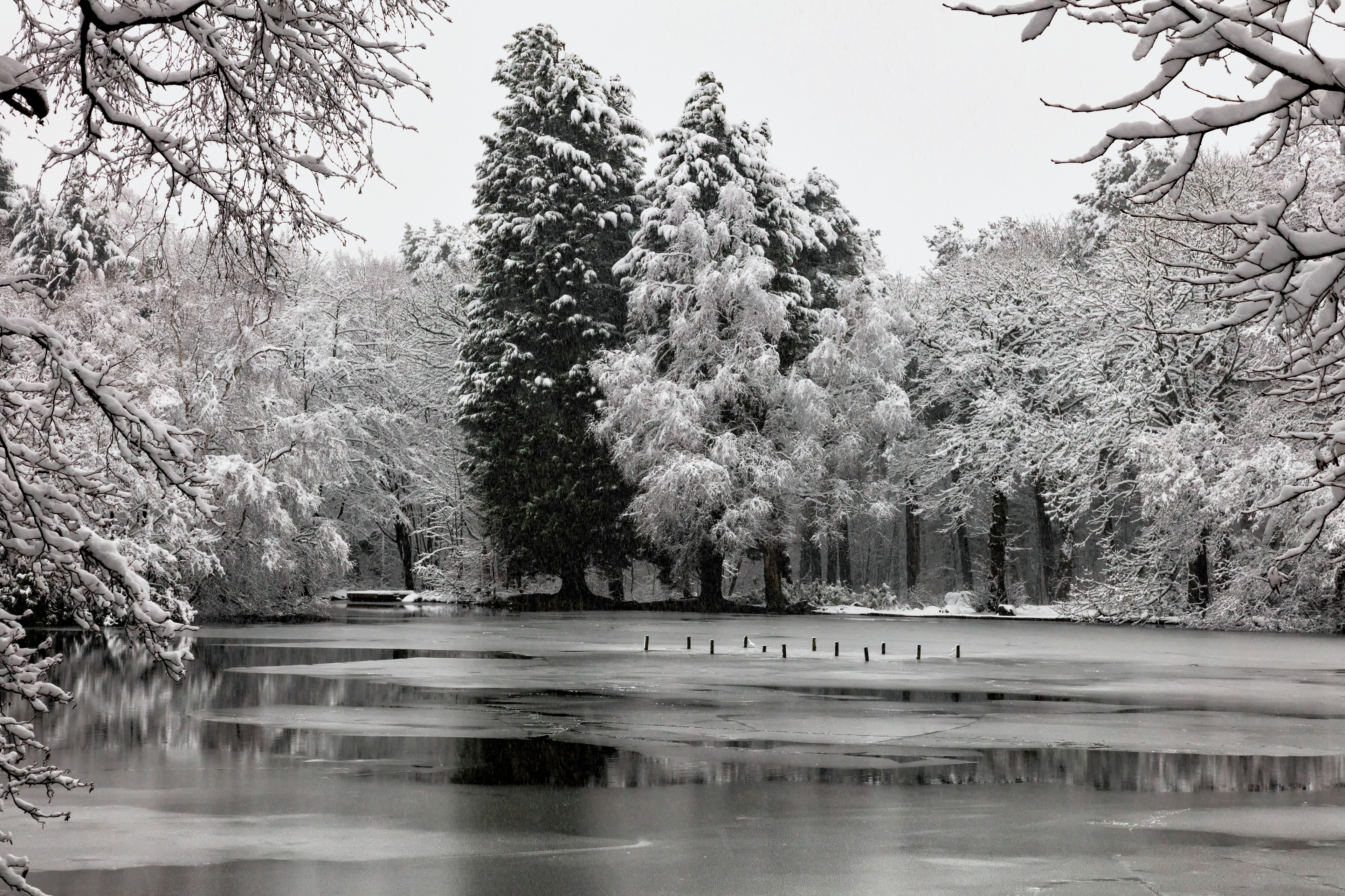 St Ives Estate - Frozen Coppice Pond
