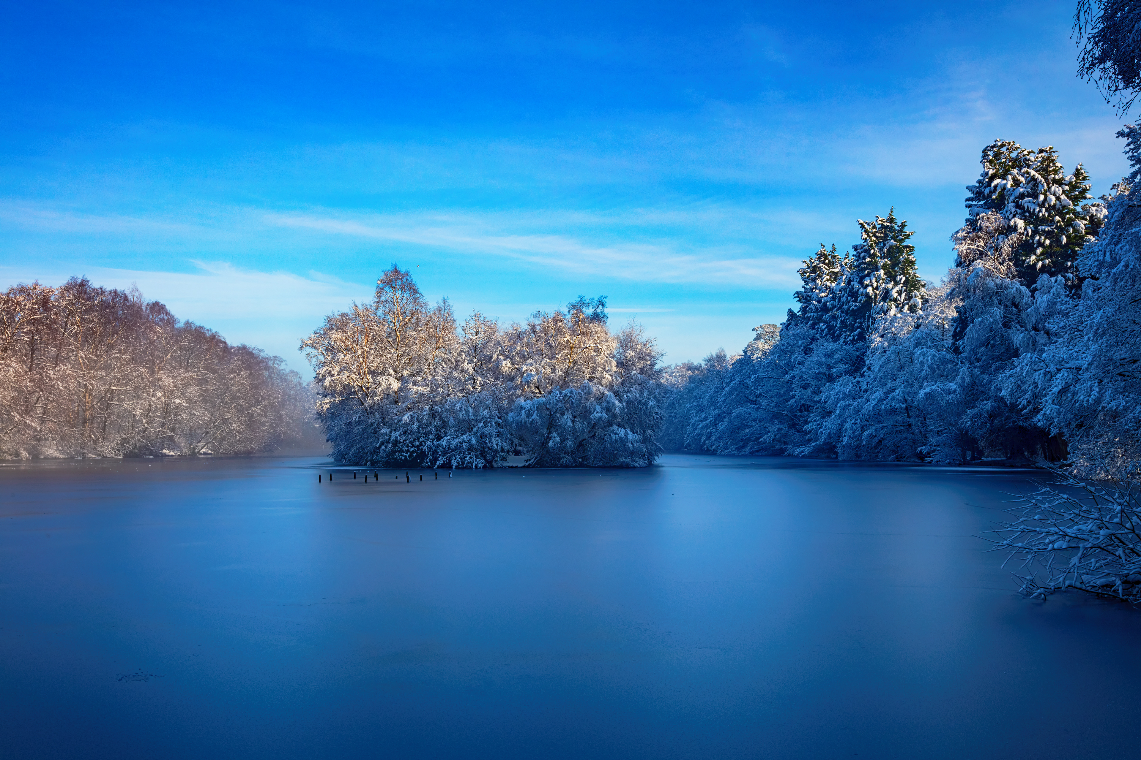 St Ives Estate - Ice Blue - Coppice Pond