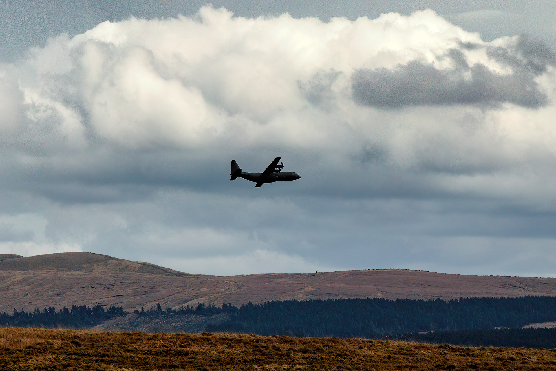 Single Hercules - 9824