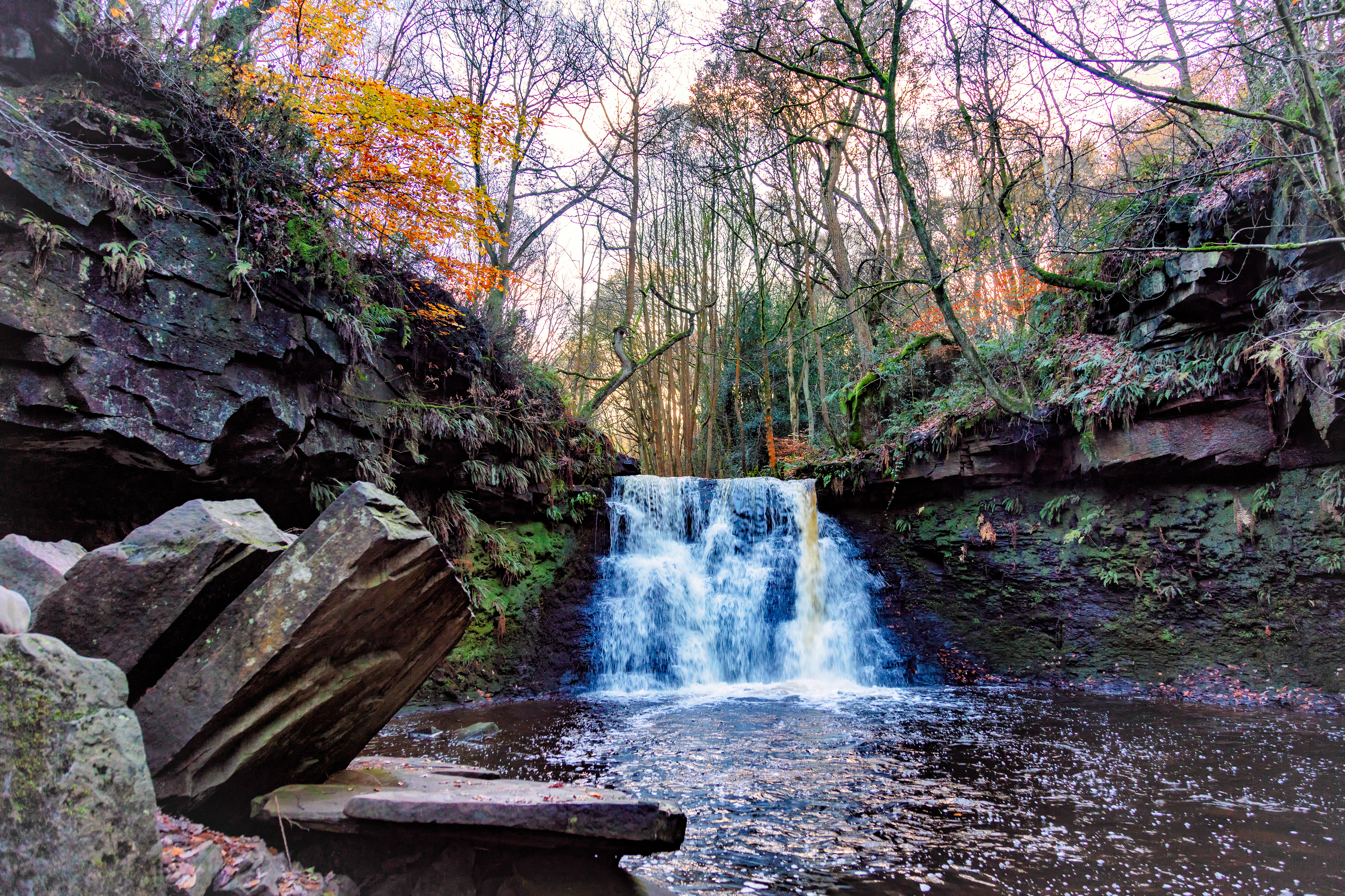 Goit Stock falls - wide angle