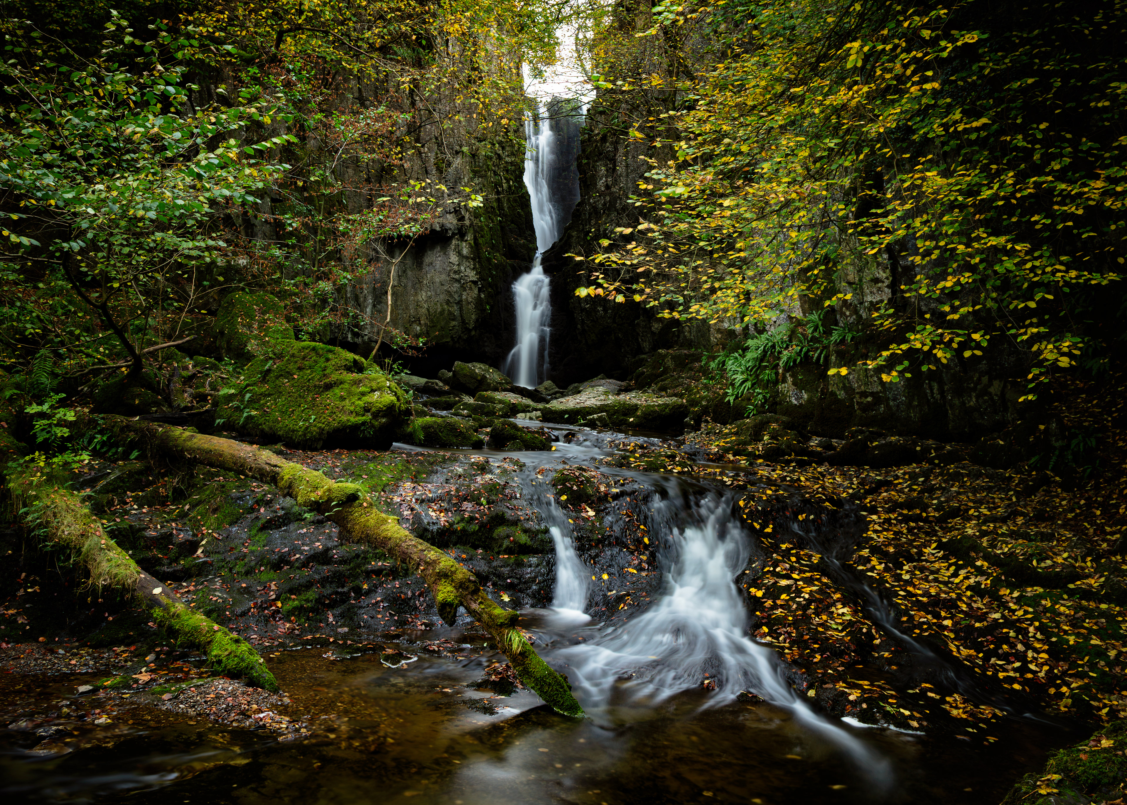 Catrigg Force, Stainforth - 3711