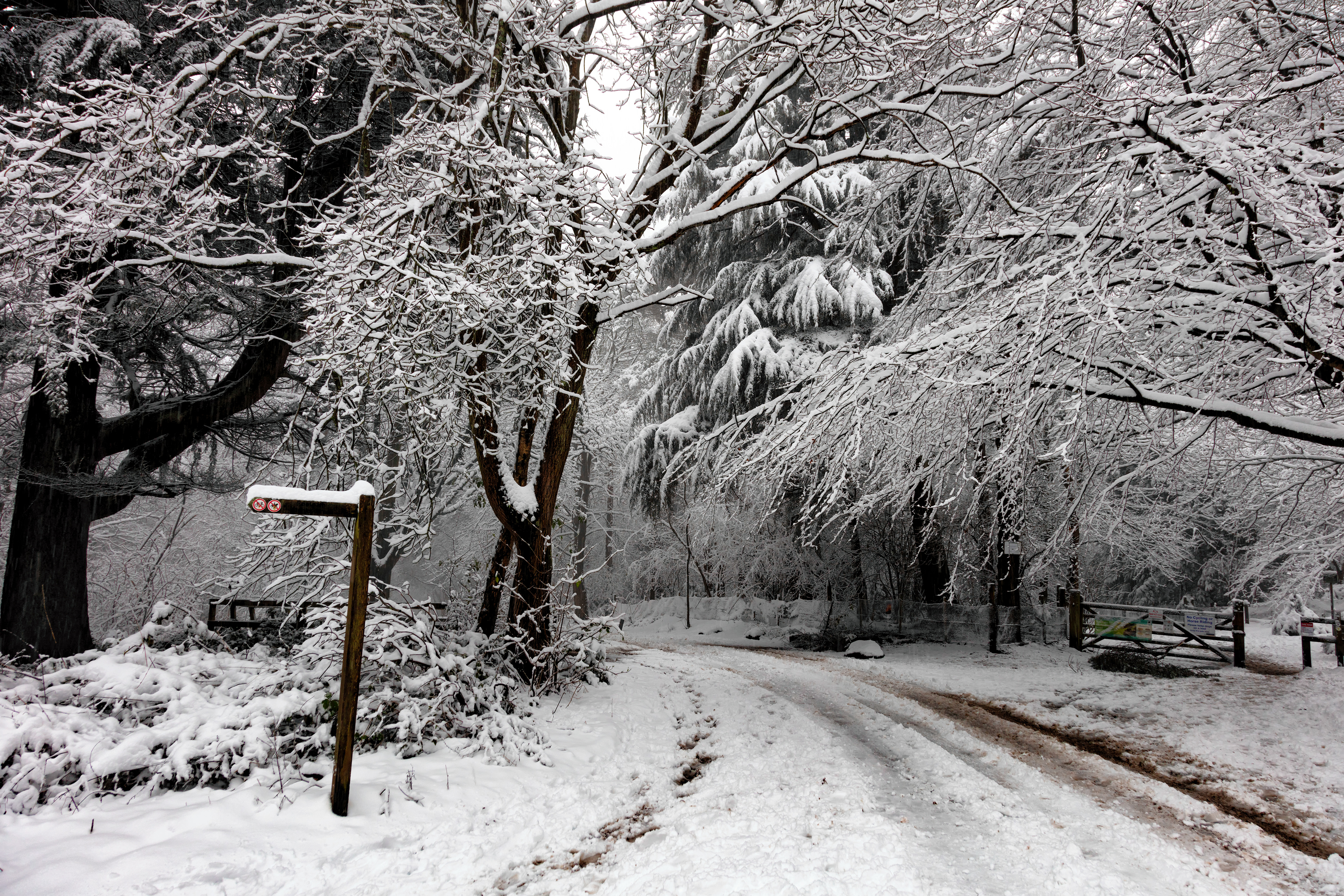 St Ives Estate - Snowy Road