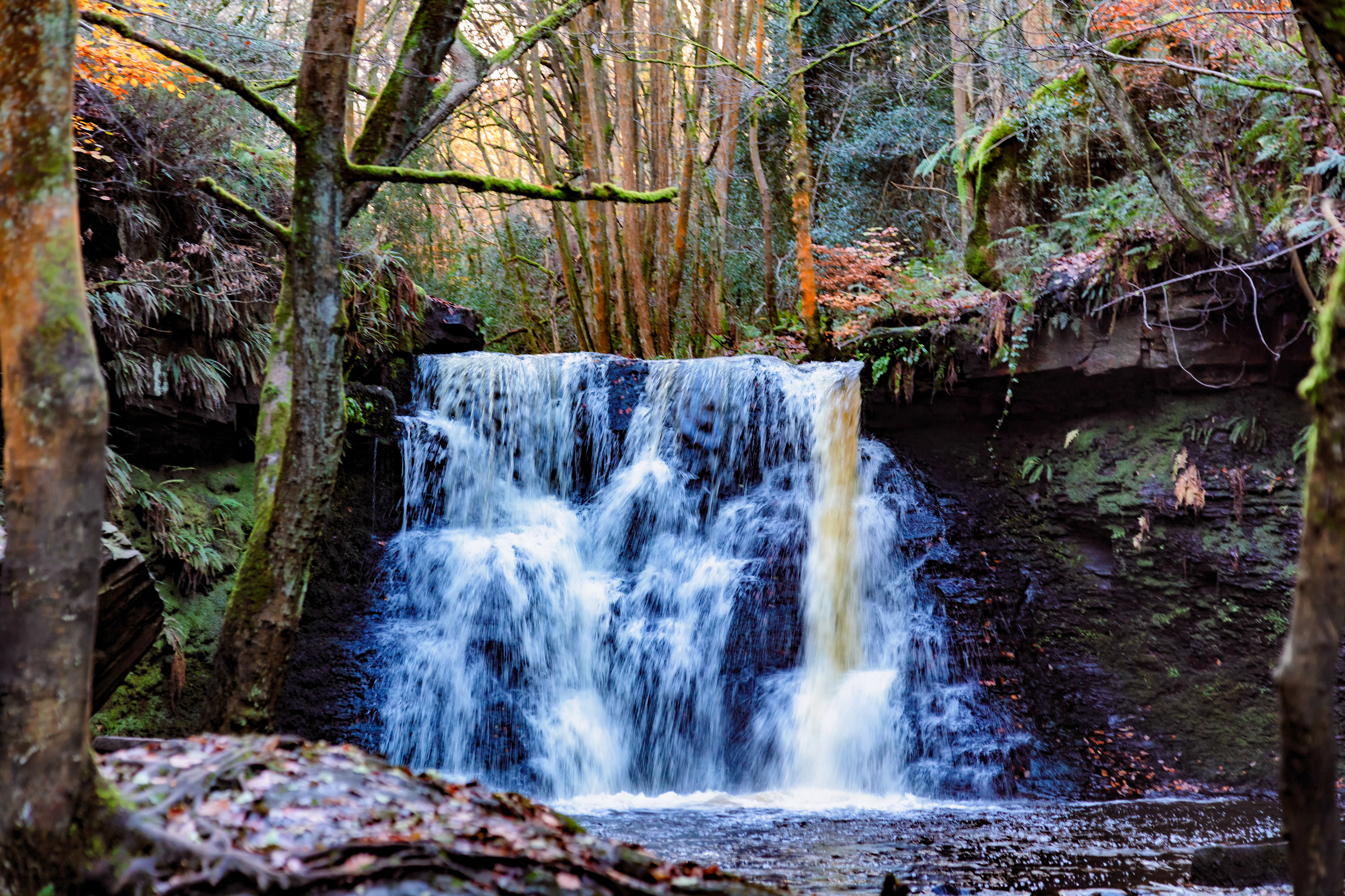 Goit Stock falls - close crop