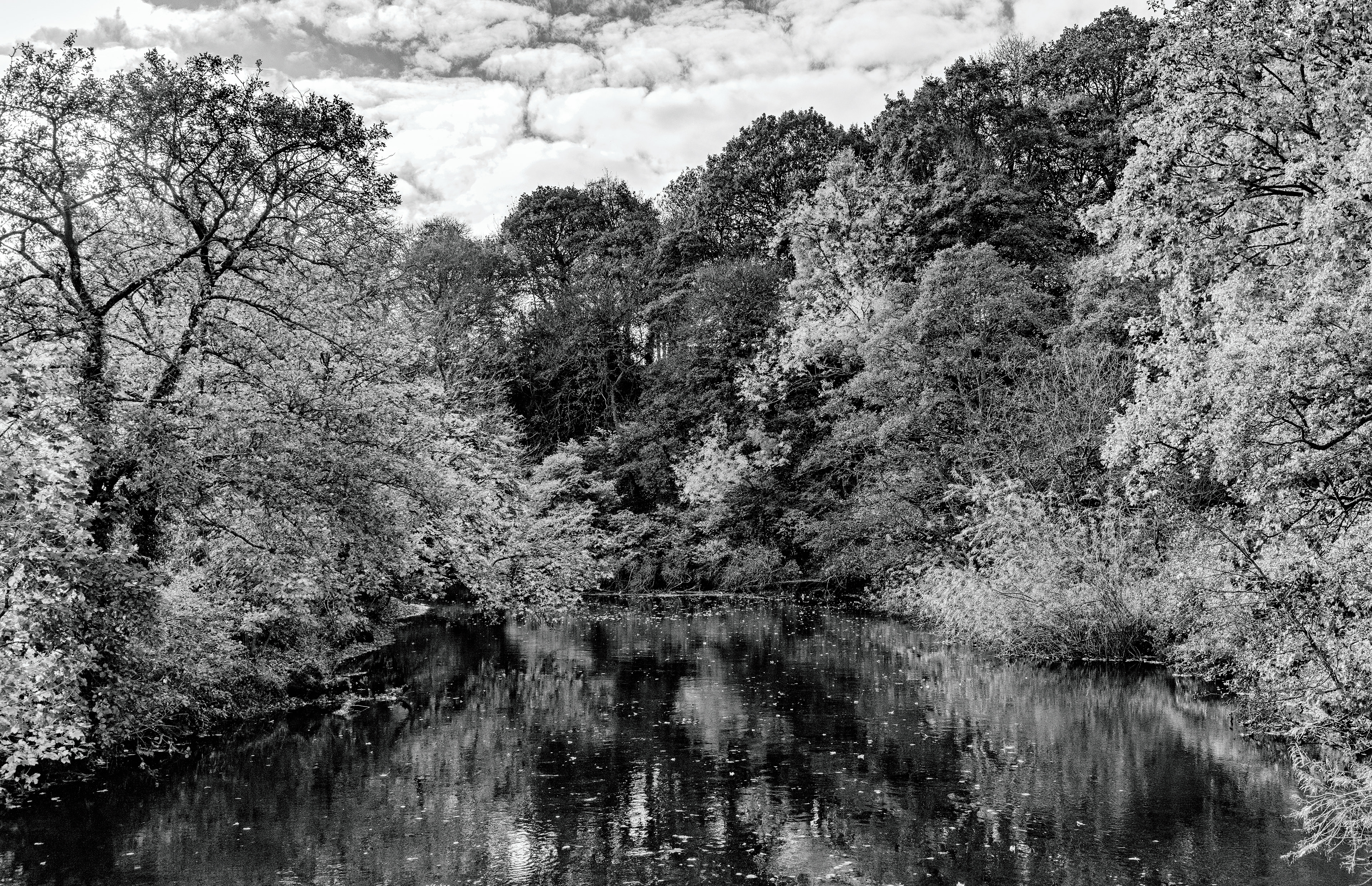 River Aire, Bingley - 6902SFX