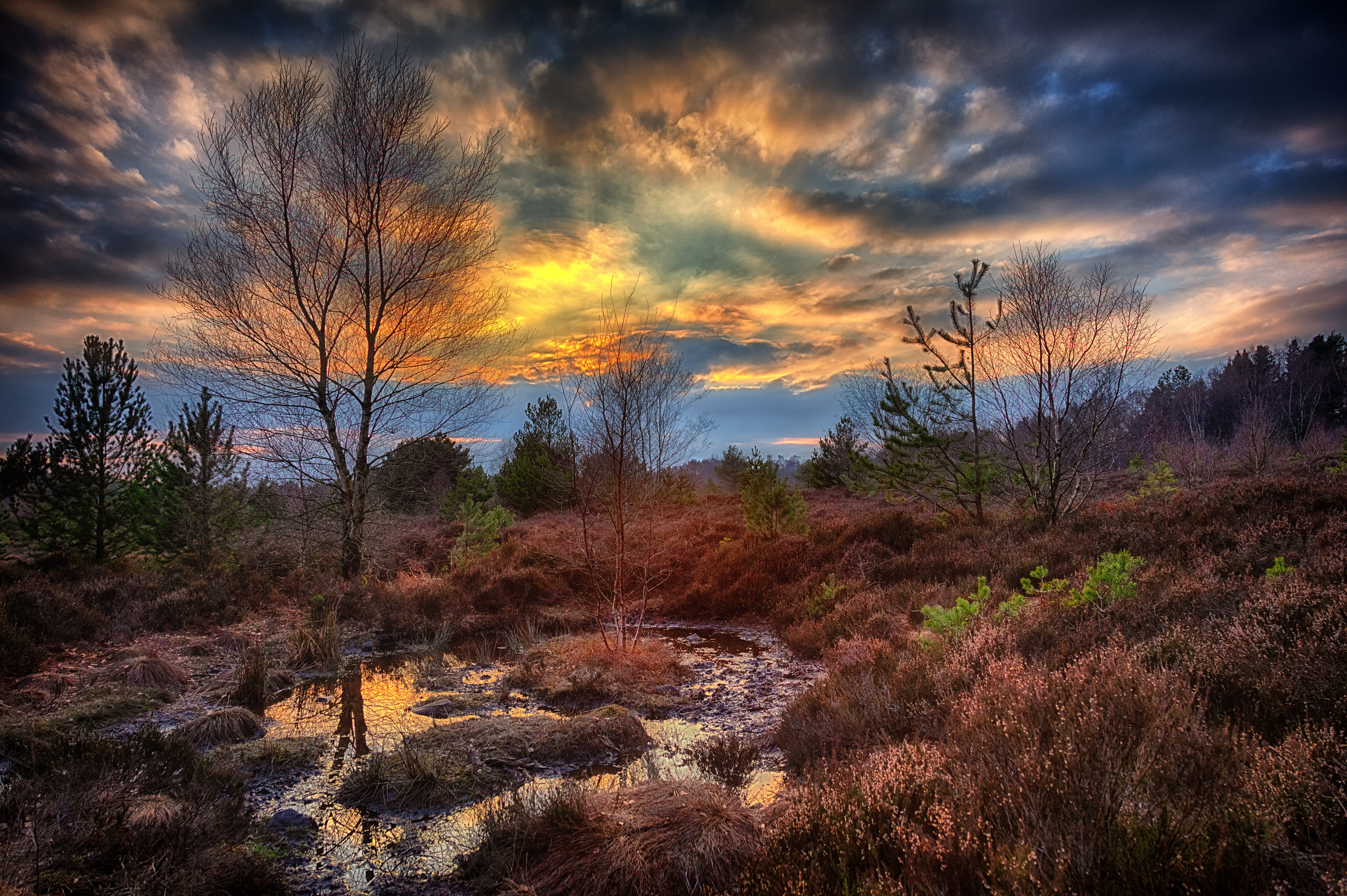 St Ives Estate - Heather Moor