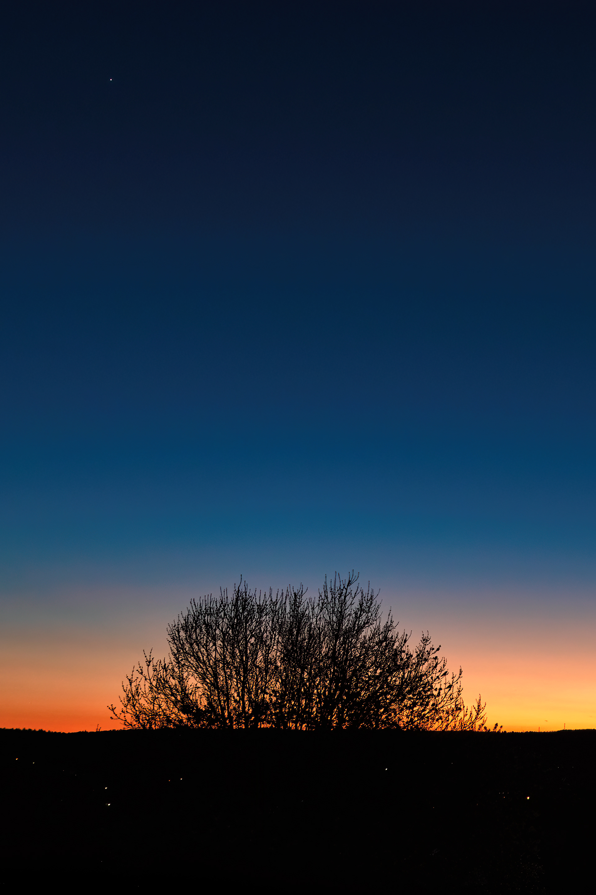 Venus Twilight - 9872-1