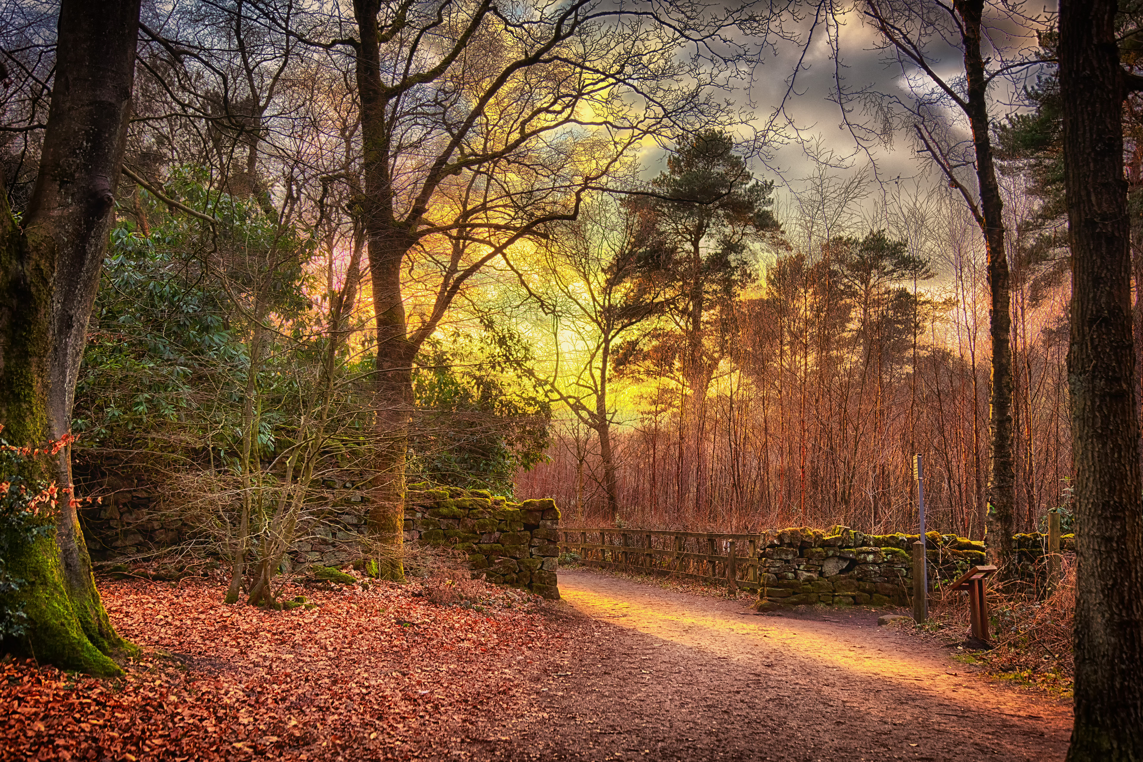 St Ives Estate - Path of Light