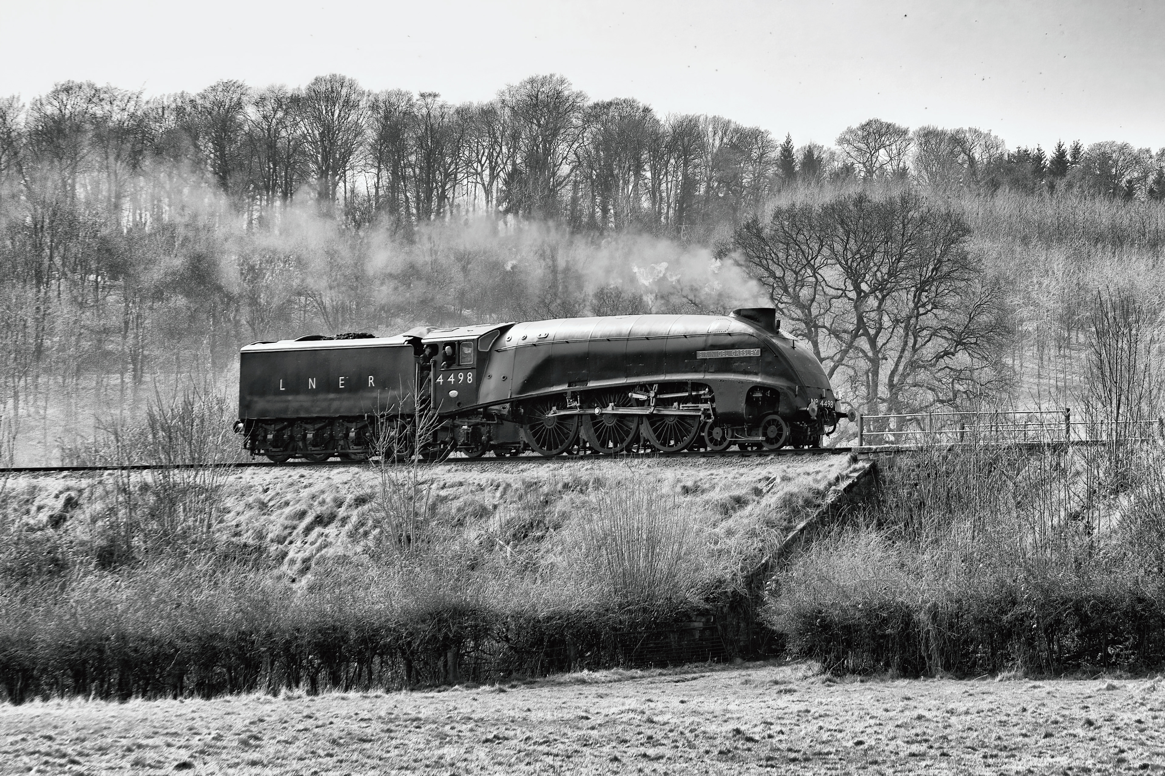 SNG - Arley - High Structure Harsh