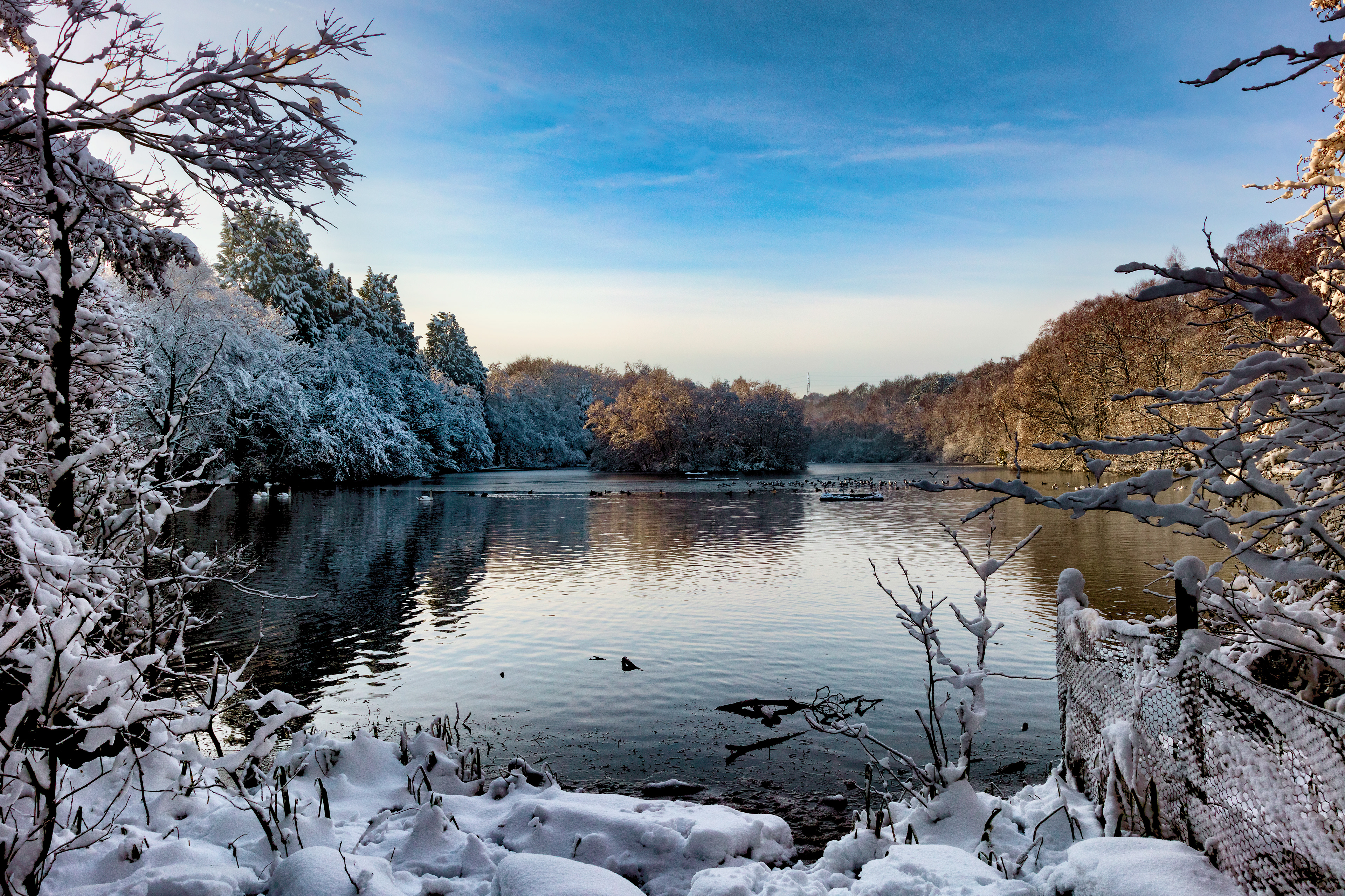 St Ives Estate - Coppice Pond Snow