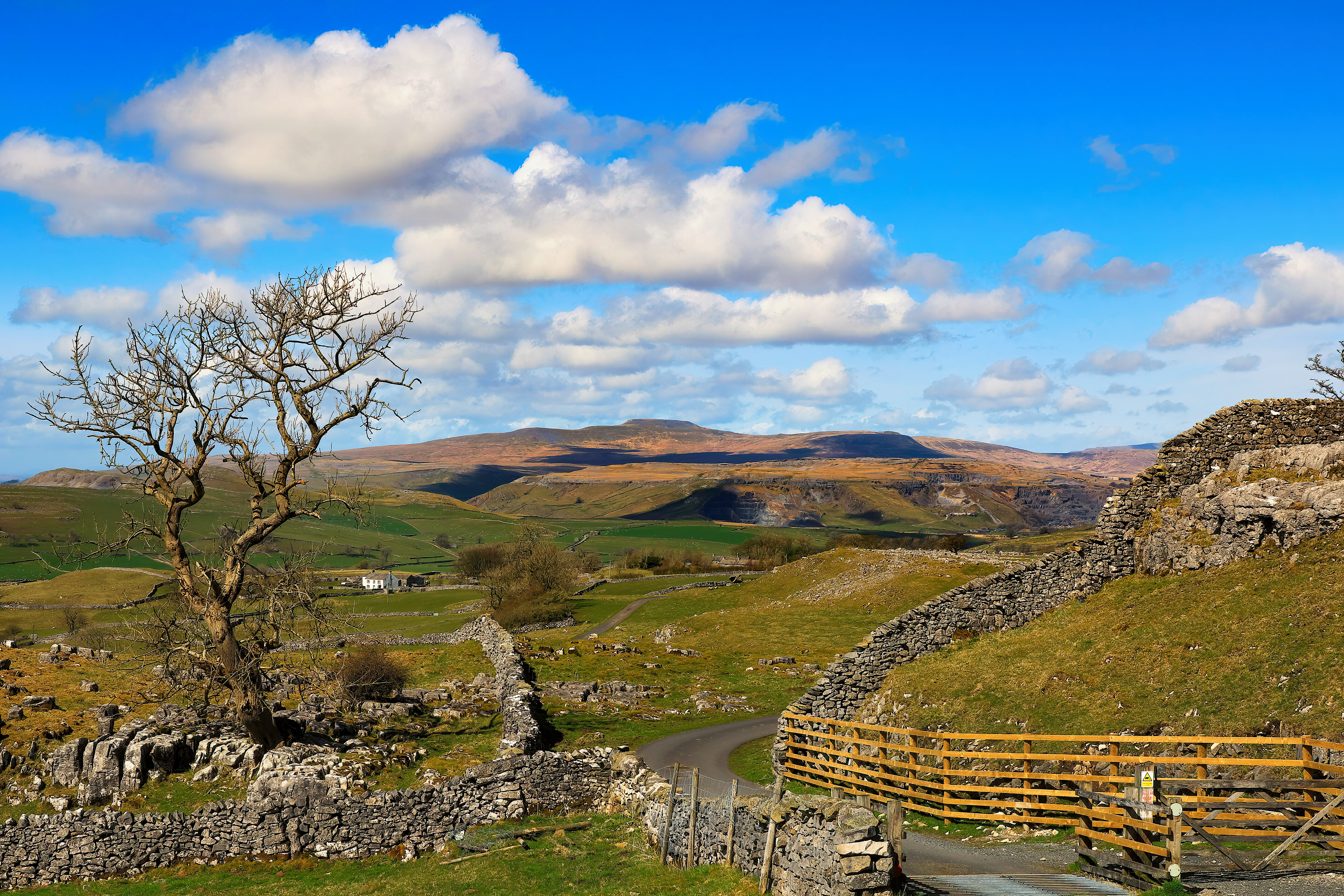 Ingleborough View - 9792