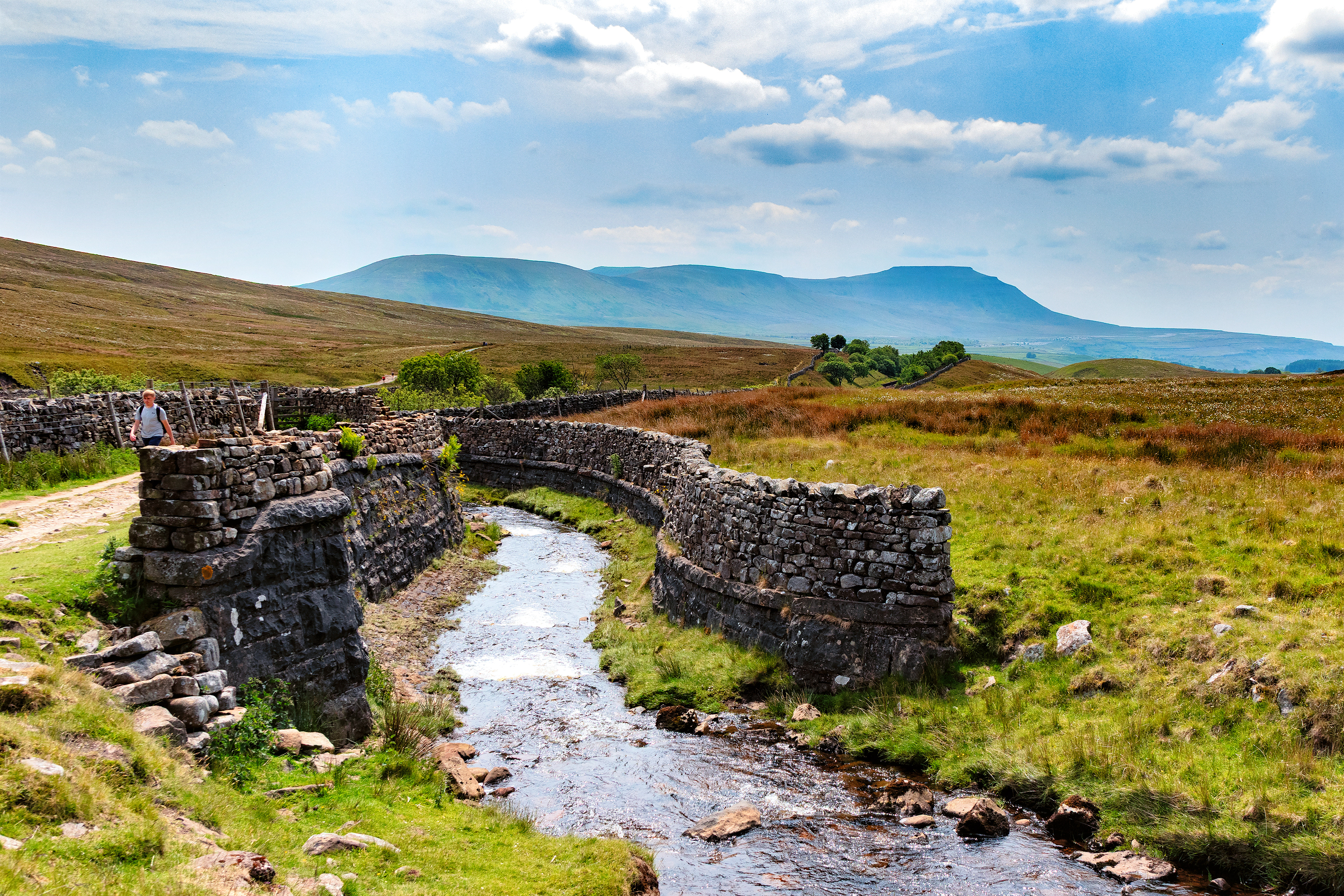 Force Gill Aqueduct and Ingleborough - 8076