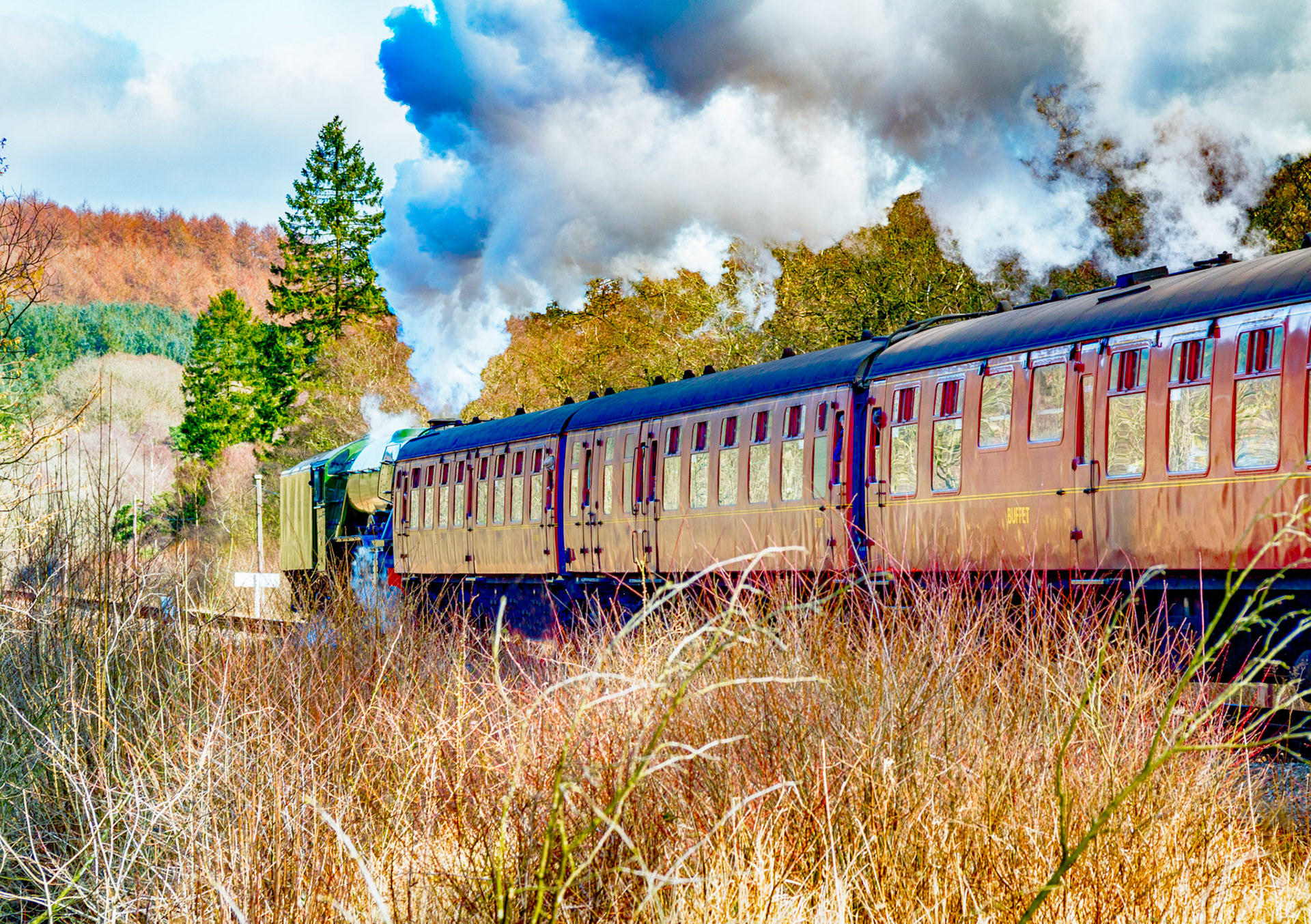 Class A3 steam locootive 60103 Flying Scotsman heads through Newtondale towards Goathland on the North Yorkshire Moors Railway. March 17th 2016
