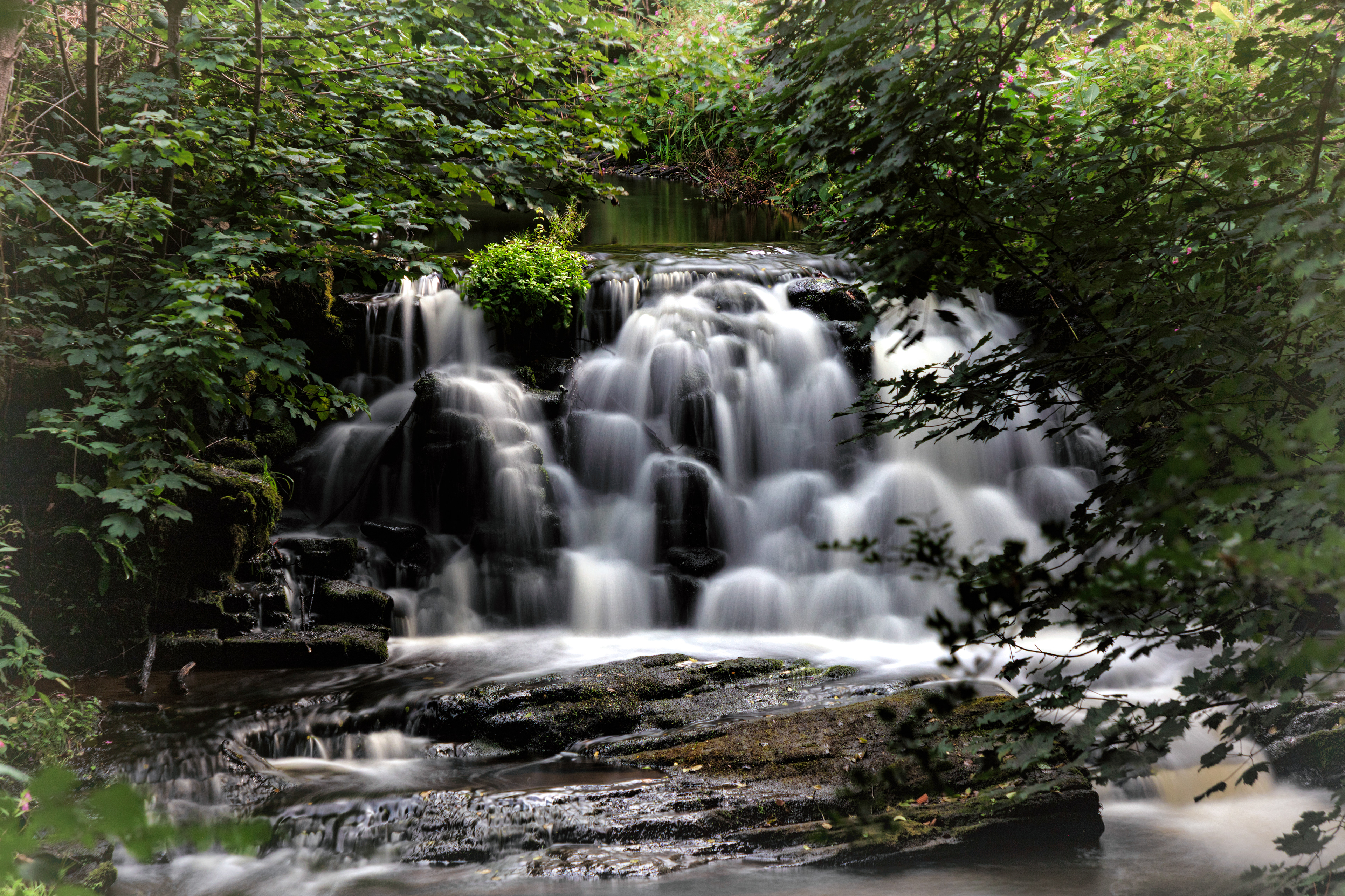 Falls by Harden Mill - 2271