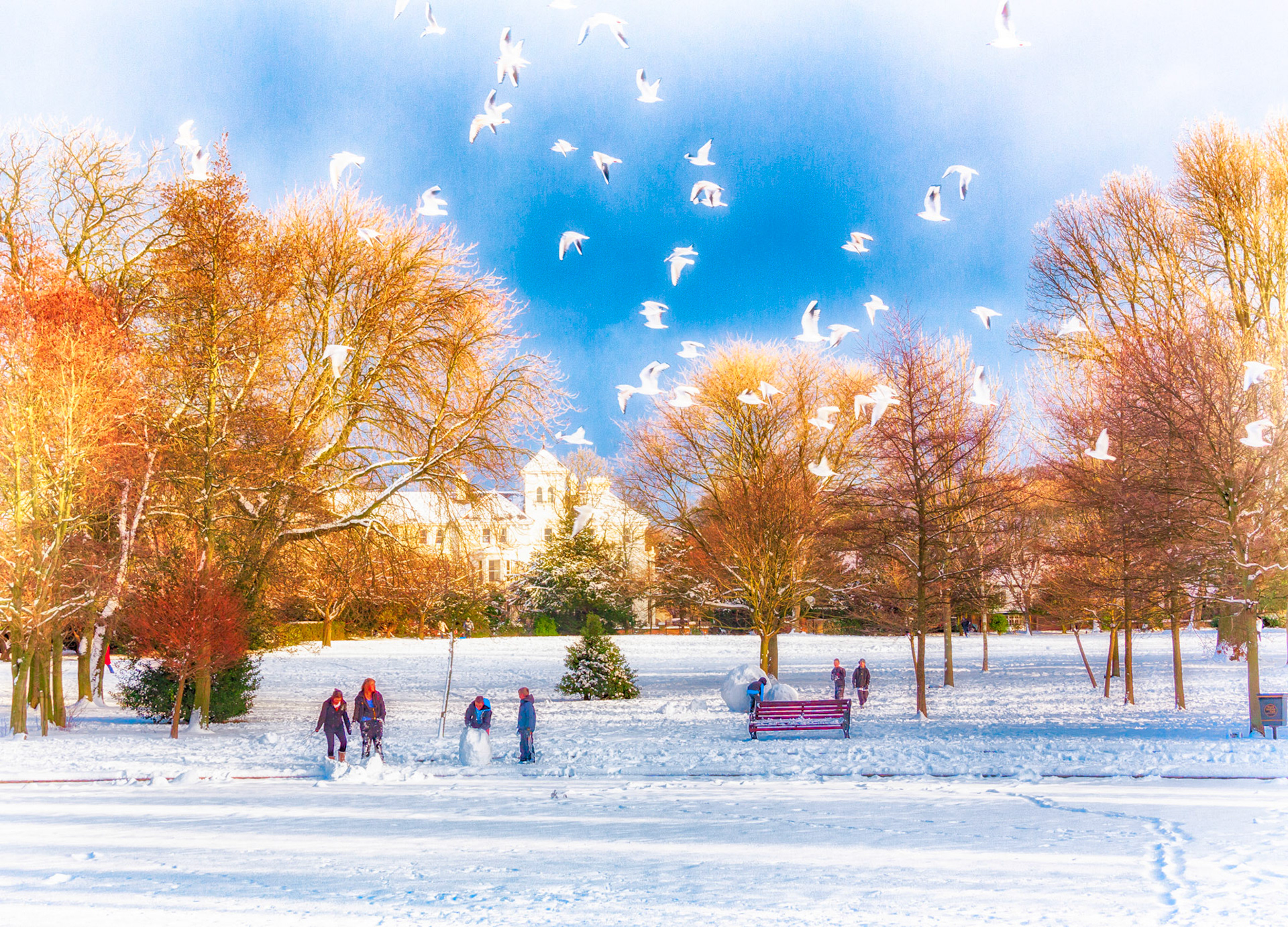 Snow Fun in the Park