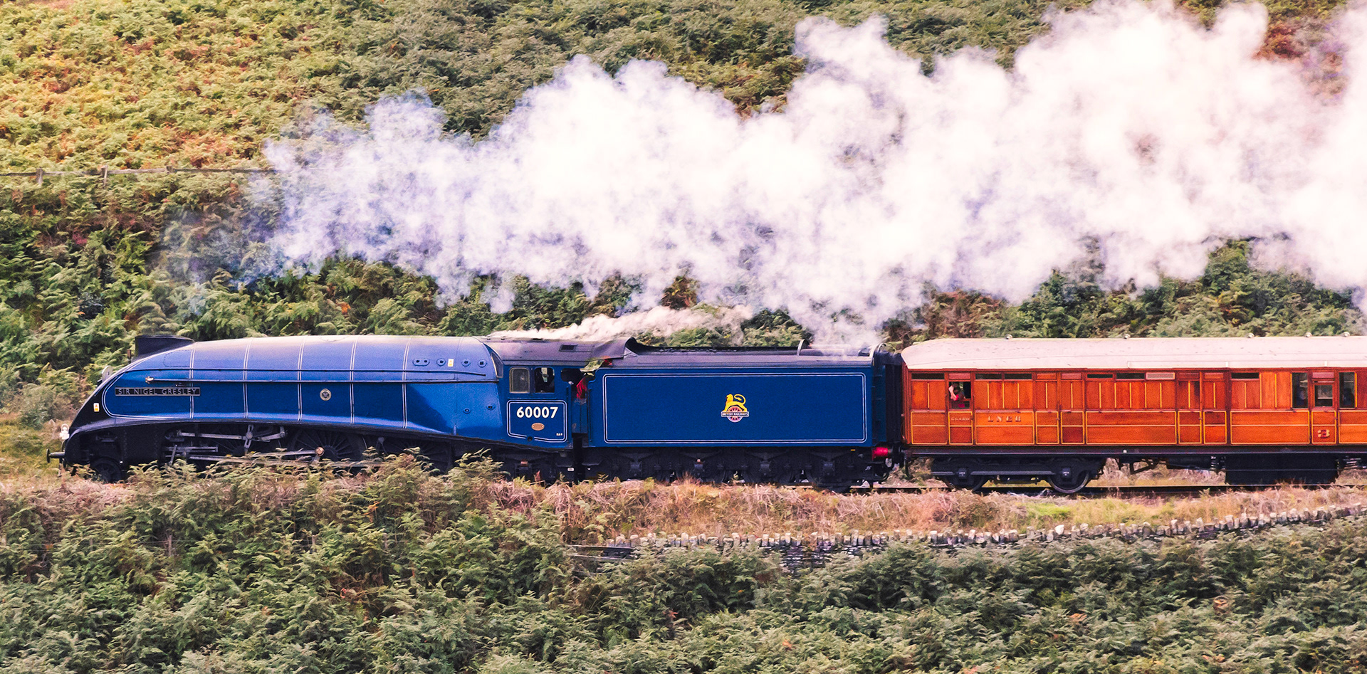 A4 Pacific 60007 Sir Nigel Gresley streaks on southward from Goathland on the North Yorkshire Moors Railway. The class of locomotive are nicknamed "Streaks" 