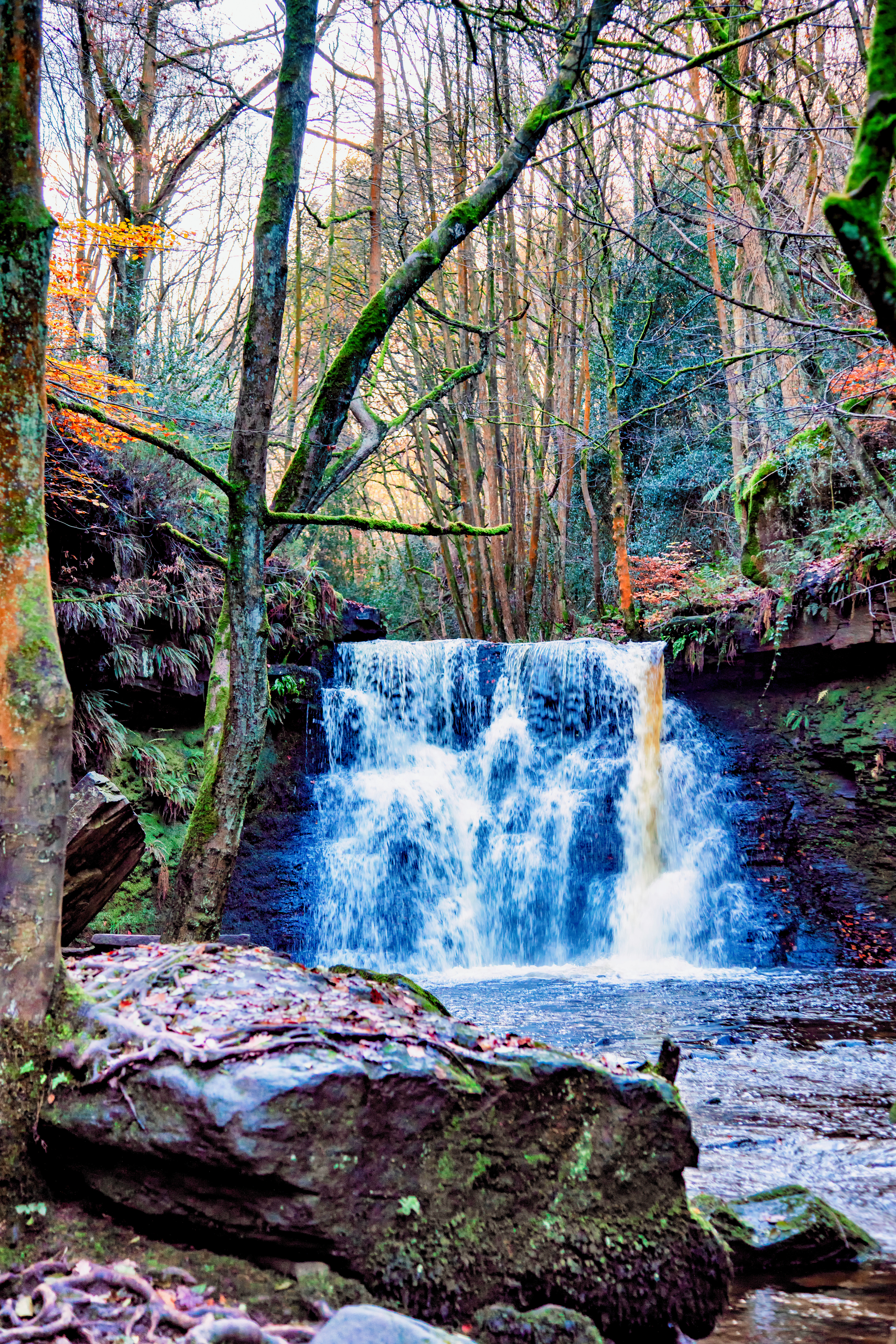 Goit Stock falls - portrait