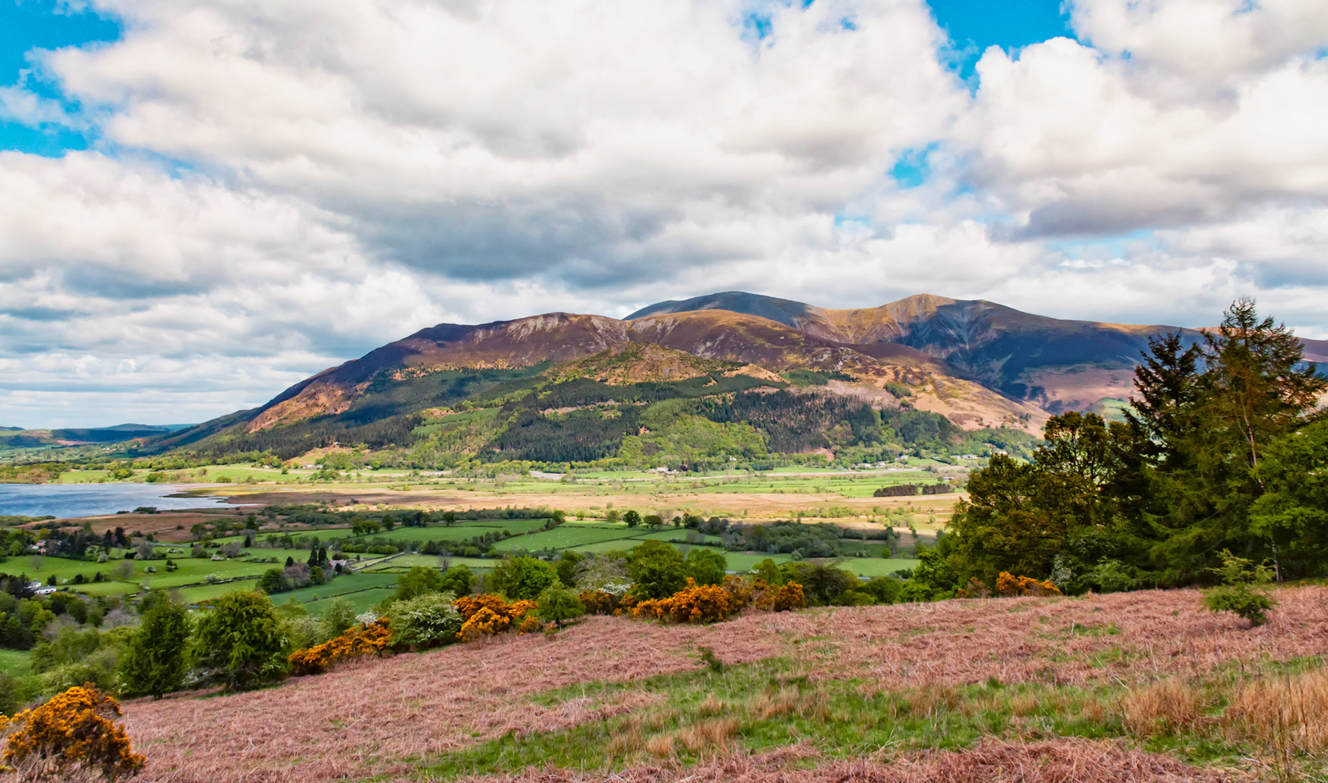 Skiddaw, Lake District, Cumbria, UK