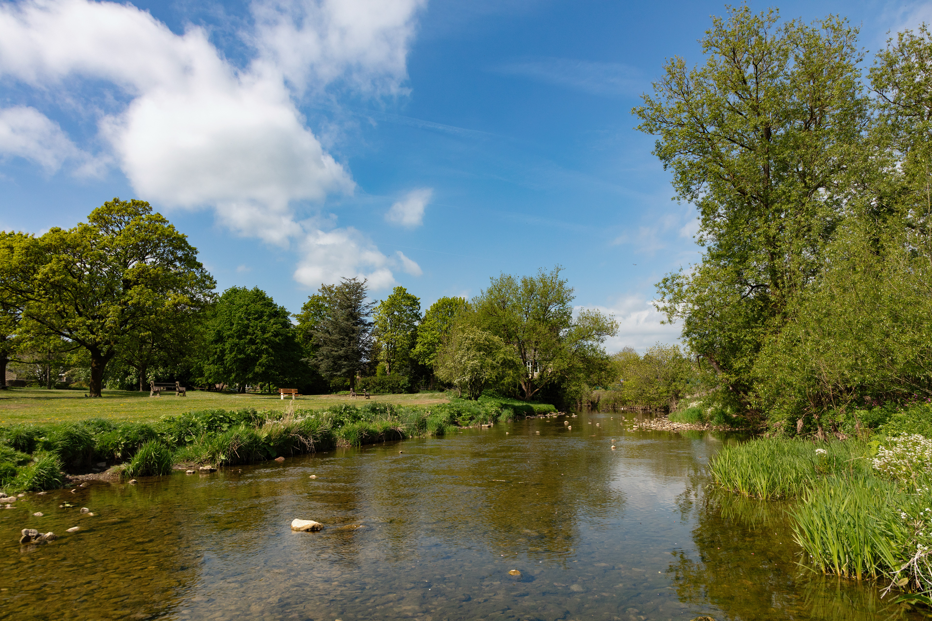 River Aire, Gargrave -9557