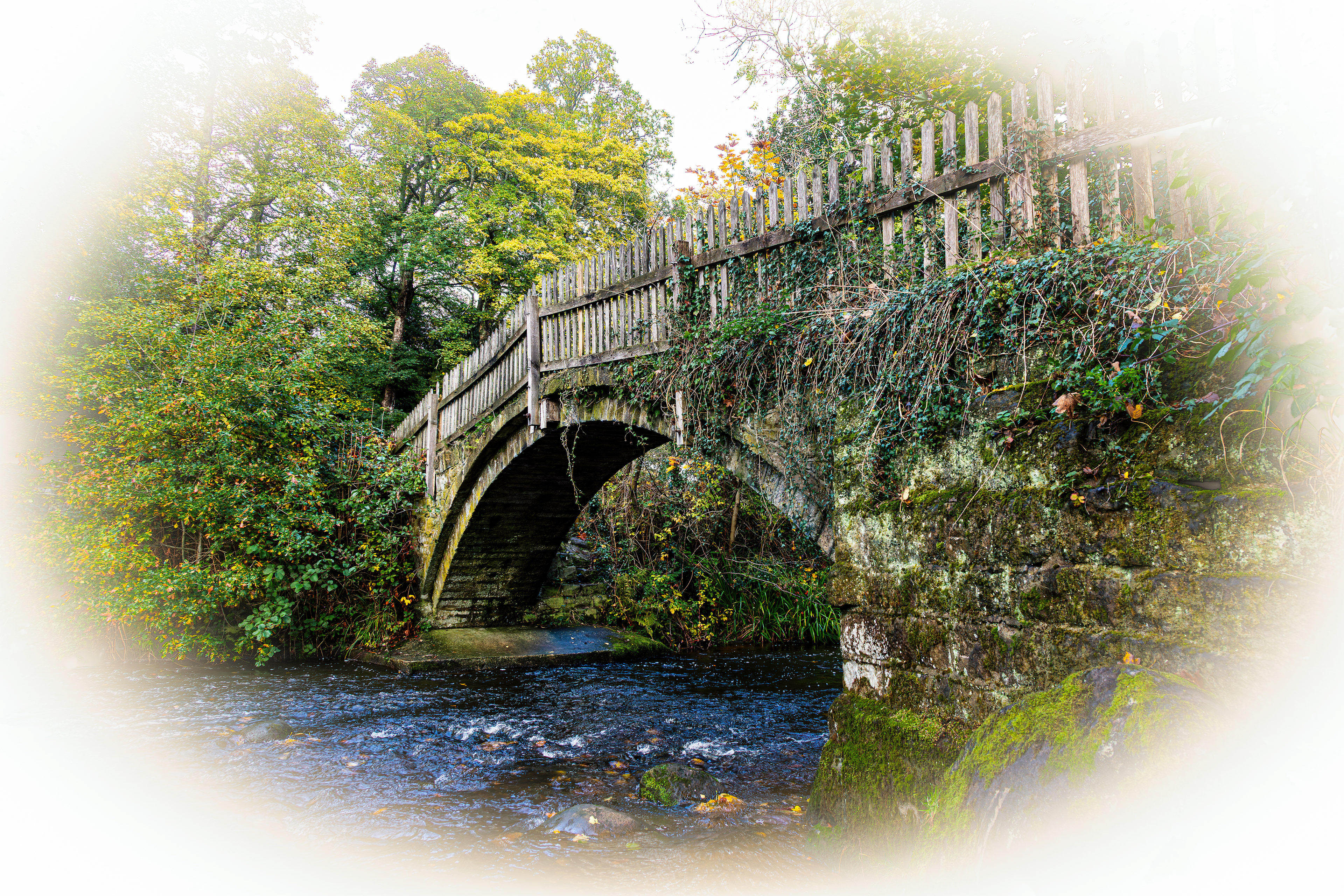 Neck Foot Lane  - 3861