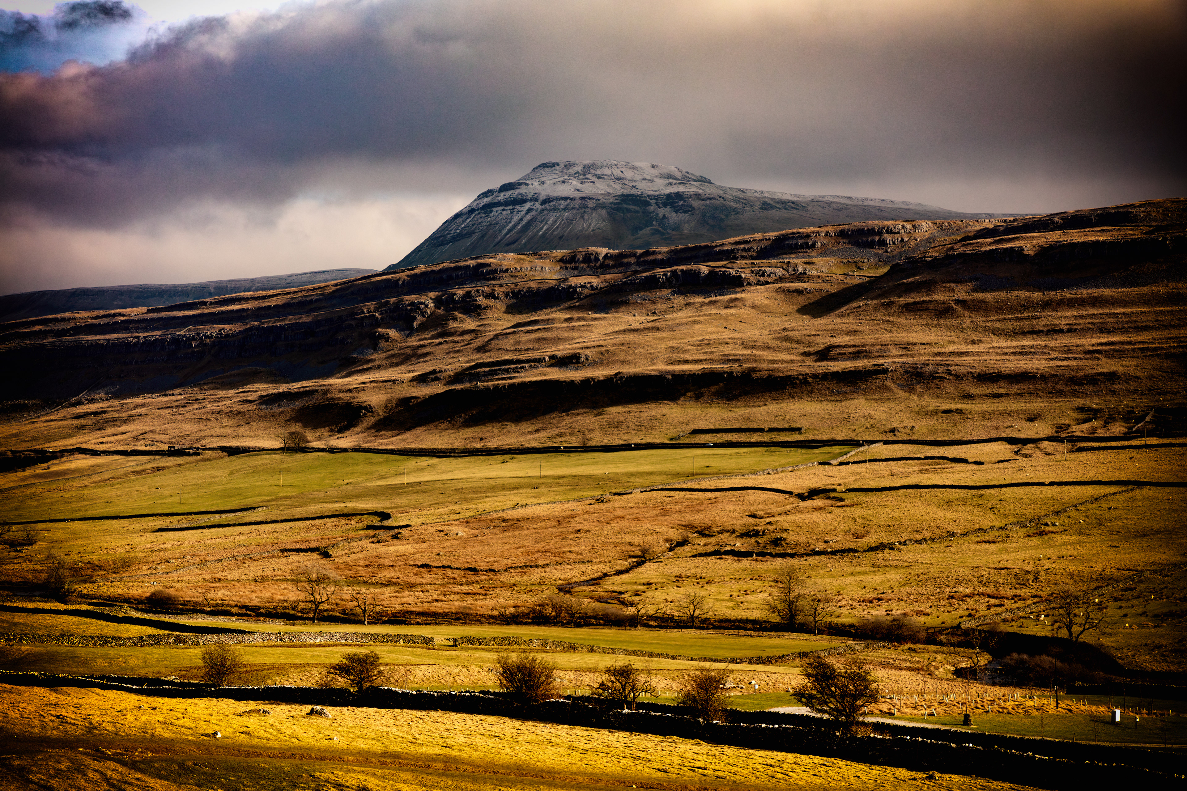 Ingleborough - 7548
