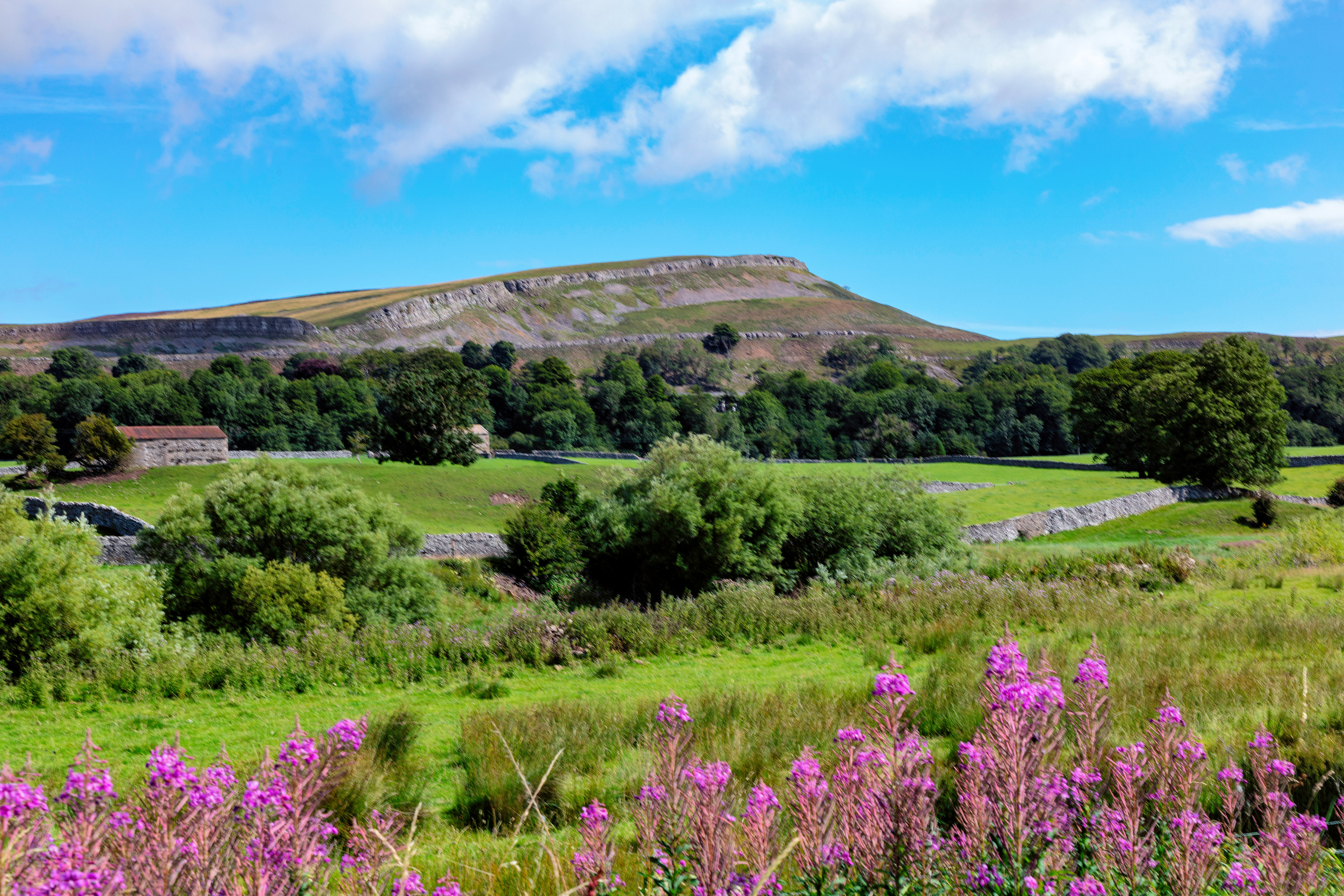 0224 - Ivy Scar, Wensleydale