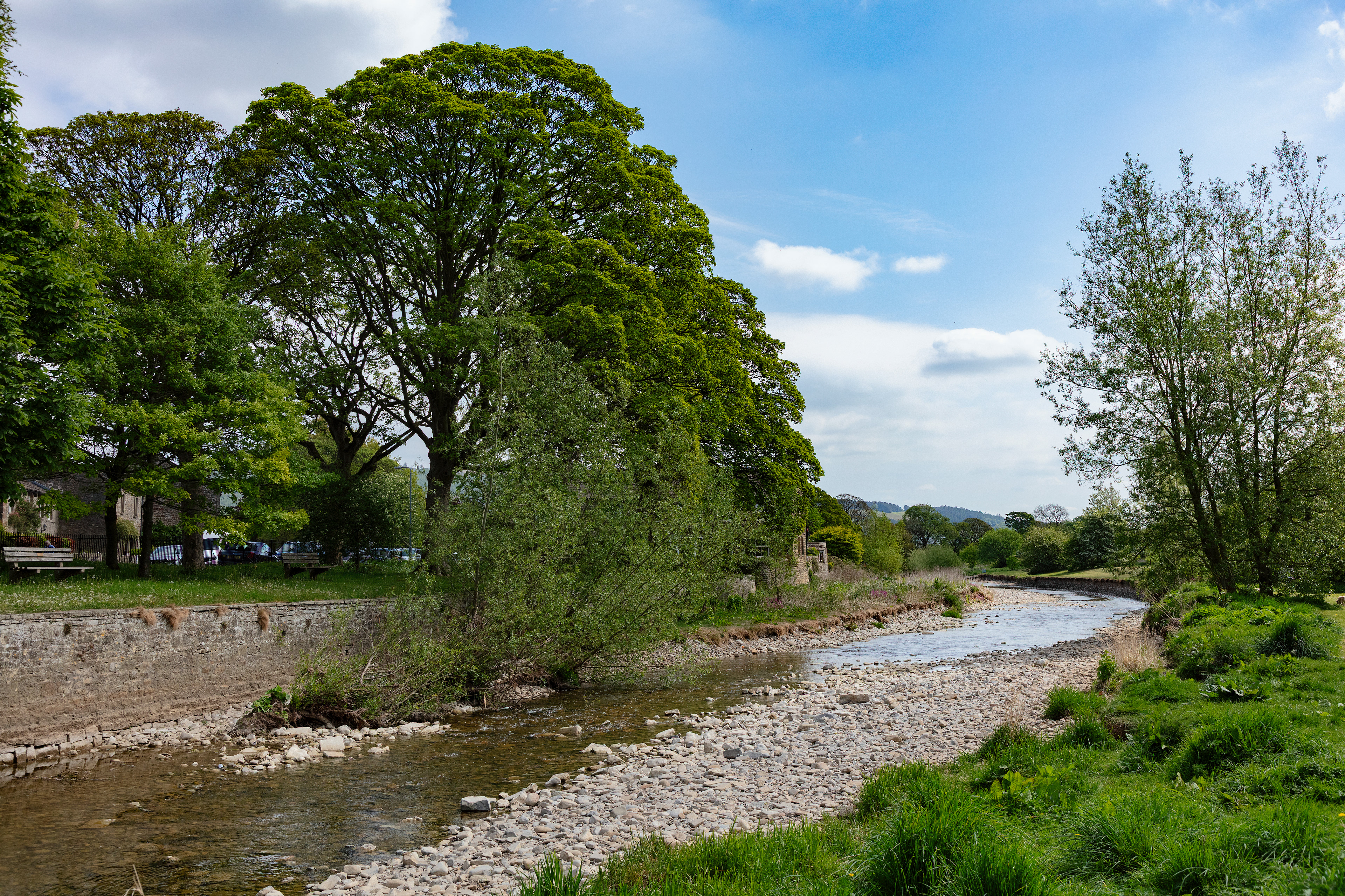 River Aire, Gargrave - 9547