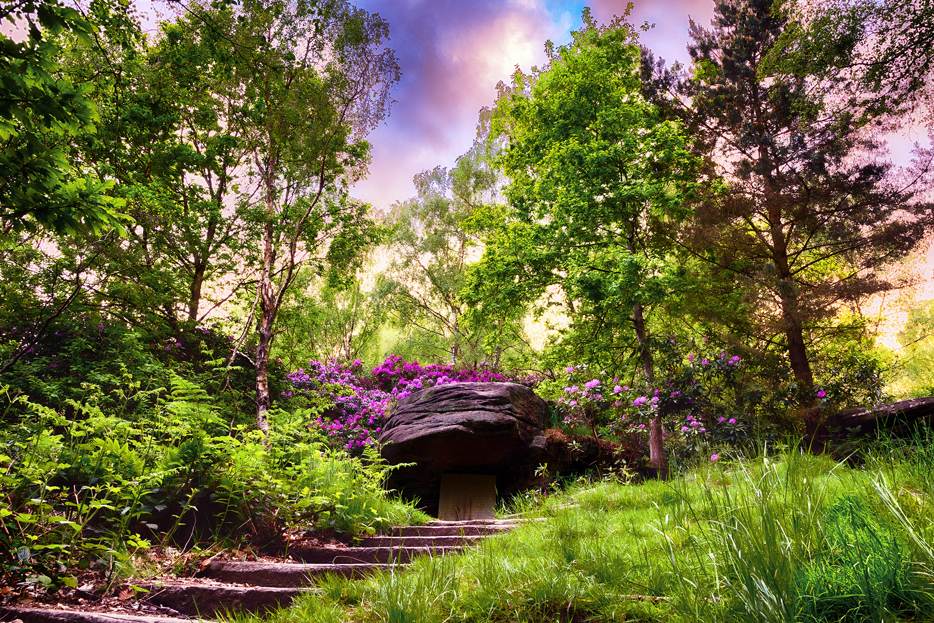 St Ives Estate - Blantyre Rhododendrums