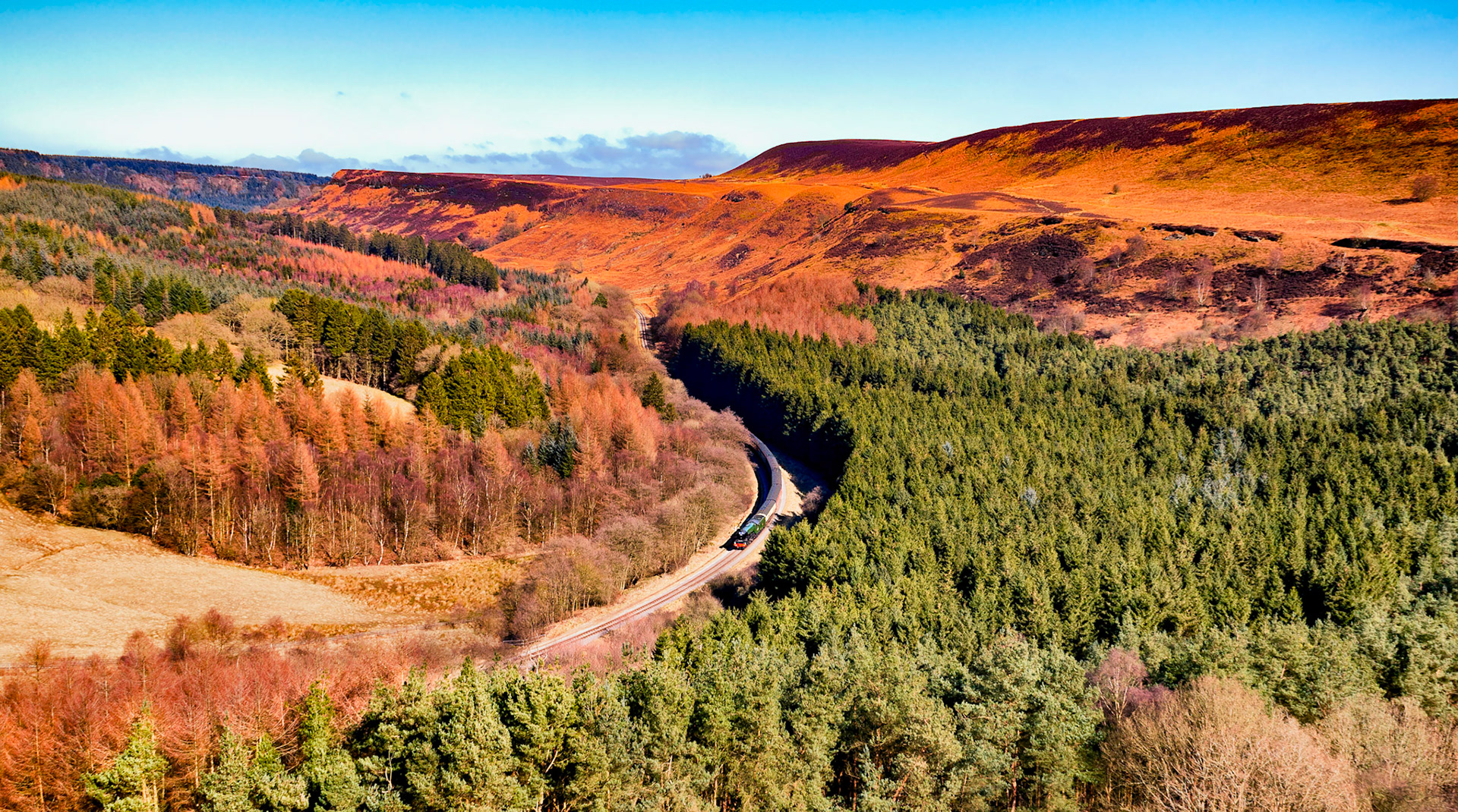 A3 601013 Flying Scotsman passing through Newtondale